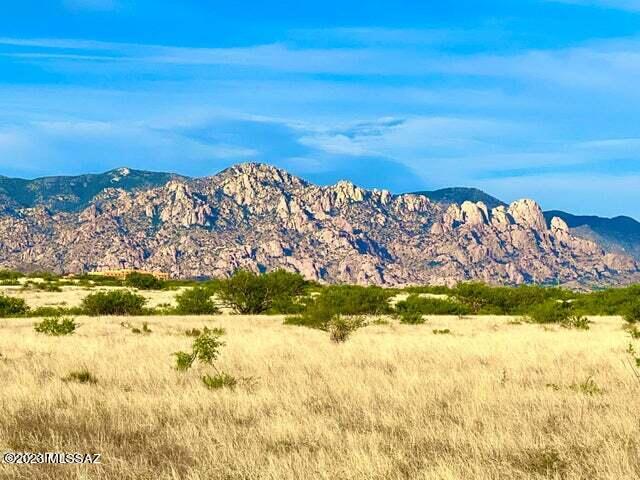 Dragoon Mountain Ranch - Land