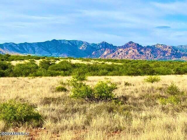 Dragoon Mountain Ranch - Land