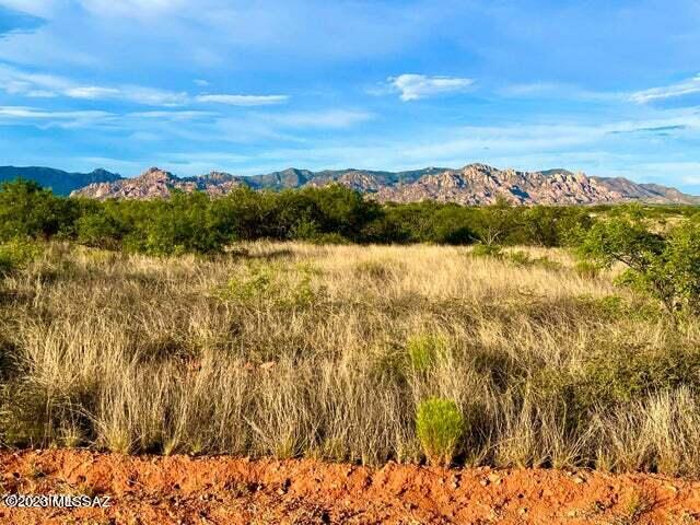 Dragoon Mountain Ranch - Land