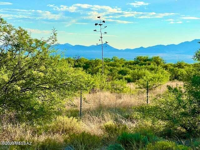 Dragoon Mountain Ranch - Land