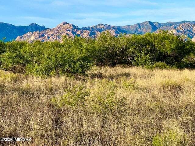 Dragoon Mountain Ranch - Land