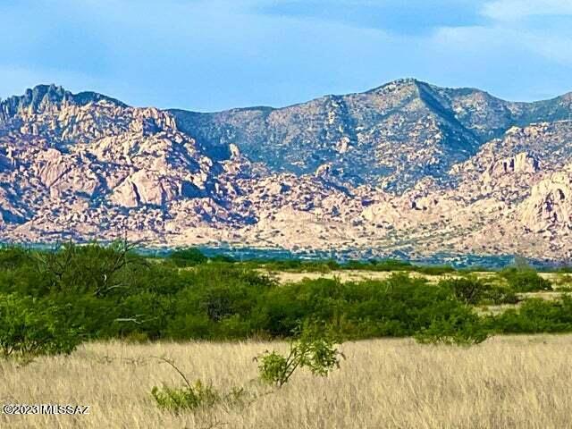 This stunning lot located in Dragoon Mountain Ranch is adjacent to State Trust land and Wildlife Refuge. DMR is a 14 thousand acre gated community with electric, helipad,surrounded by stunning mountain views and adjoining 52,000 acres of the Coronado National Forest and thousands more acres of State Trust Land. You will never run out of new riding trails to explore. Burros, javelina, antelope and tons of other wildlife are abundant. This community of site built homes- ideal for horse lovers- is near Tucson, Sierra Vista, Benson, Bisbee, and Willcox for tons of amenity options. Horseback riding, hiking, biking, and so much more!! Cooler in summer than Phx or Tucson and light snow in the winter give you all 4, but mild seasons. Seller financing and other lenders available