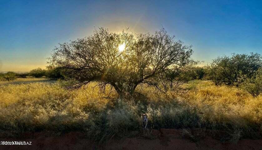 Dragoon Mountain Ranch - Land