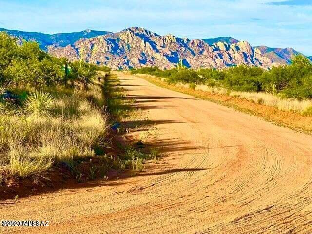 Dragoon Mountain Ranch - Land
