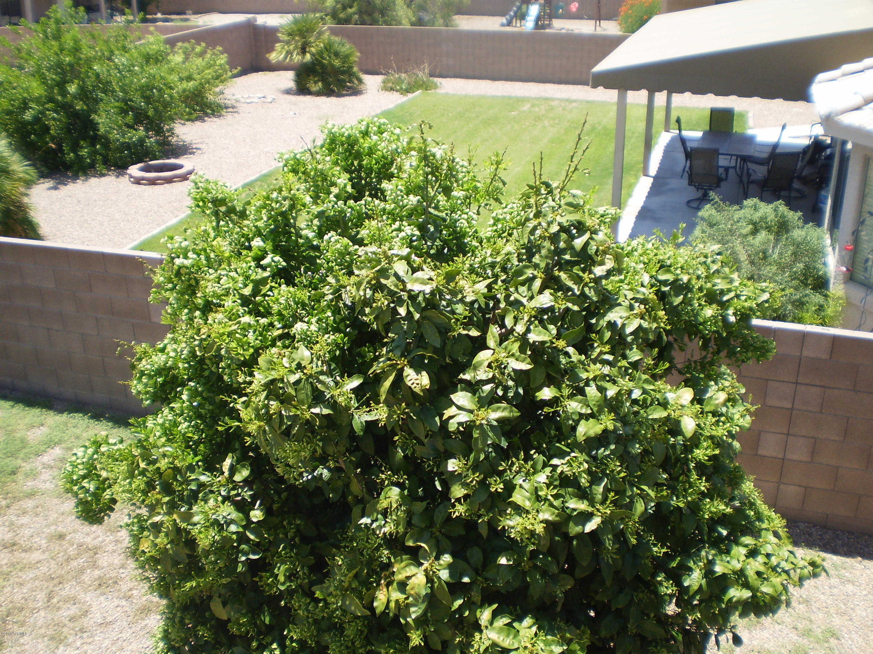 Mesquite Ranch (1-619) - Residential
