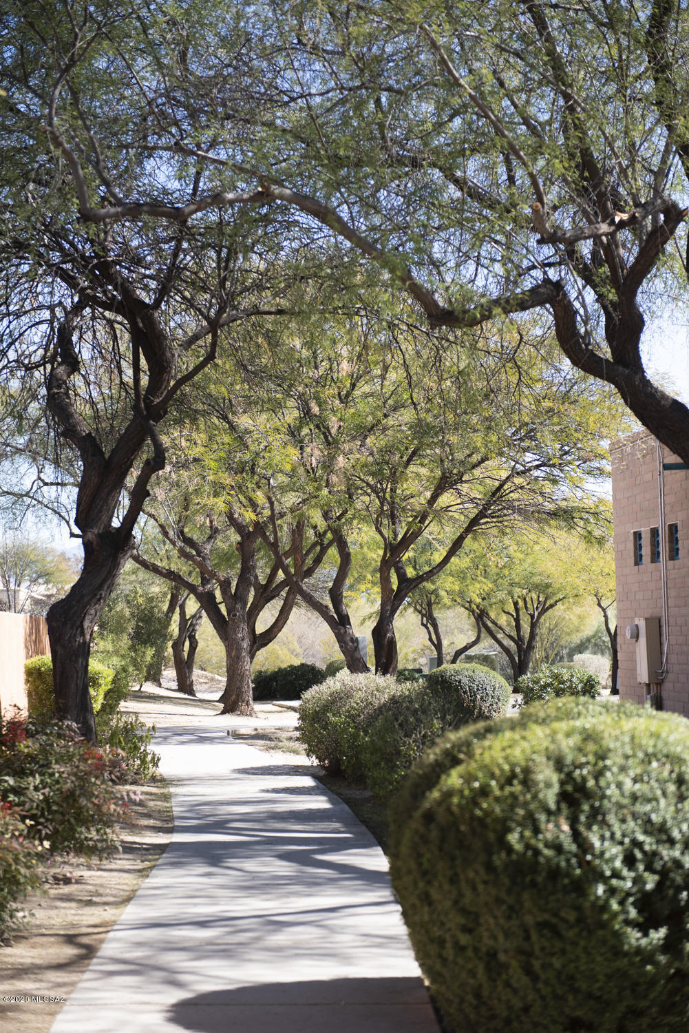 Mesquite Ranch (1-619) - Residential