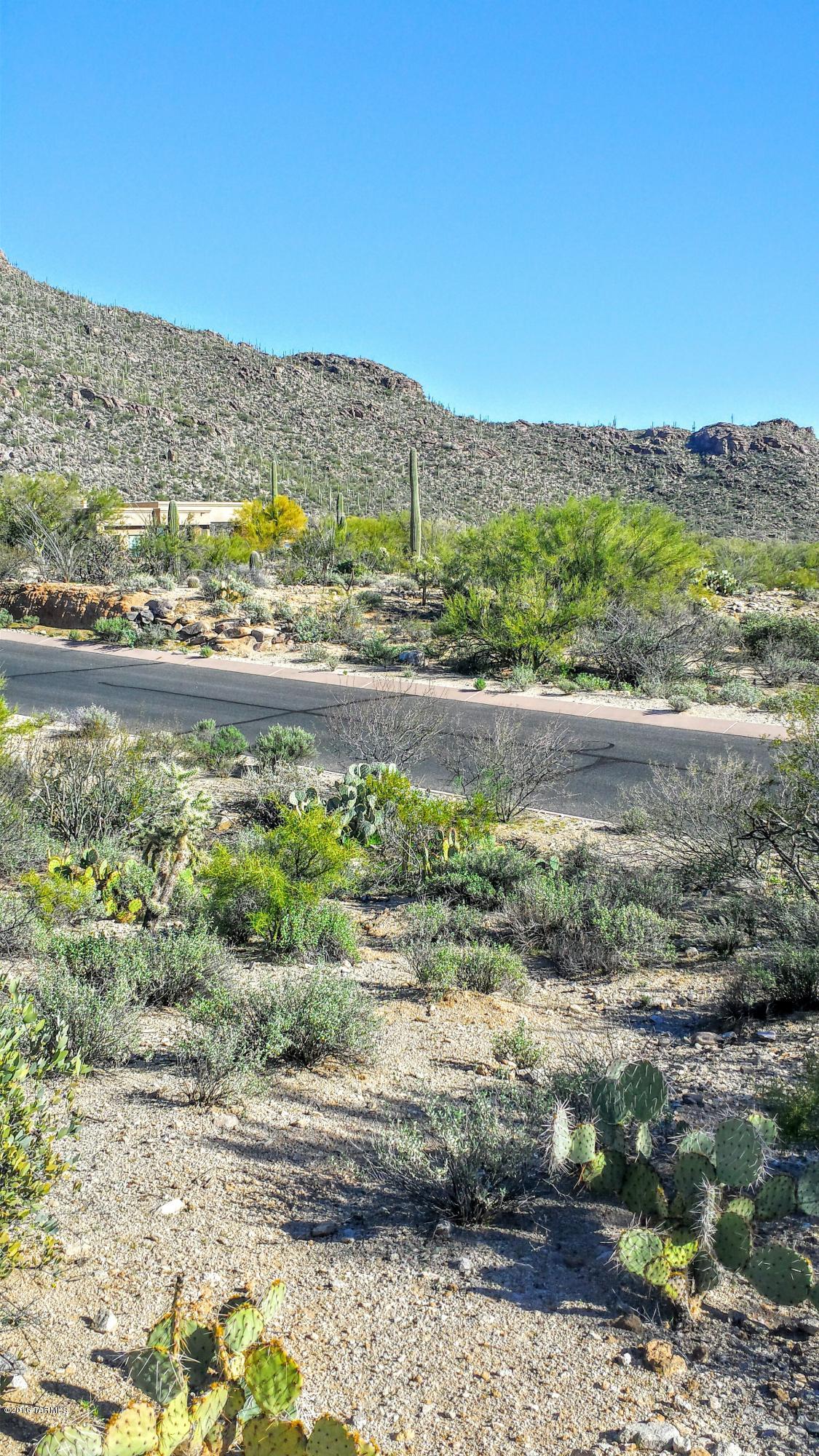 Canyon Pass At Dove Mountain - Land