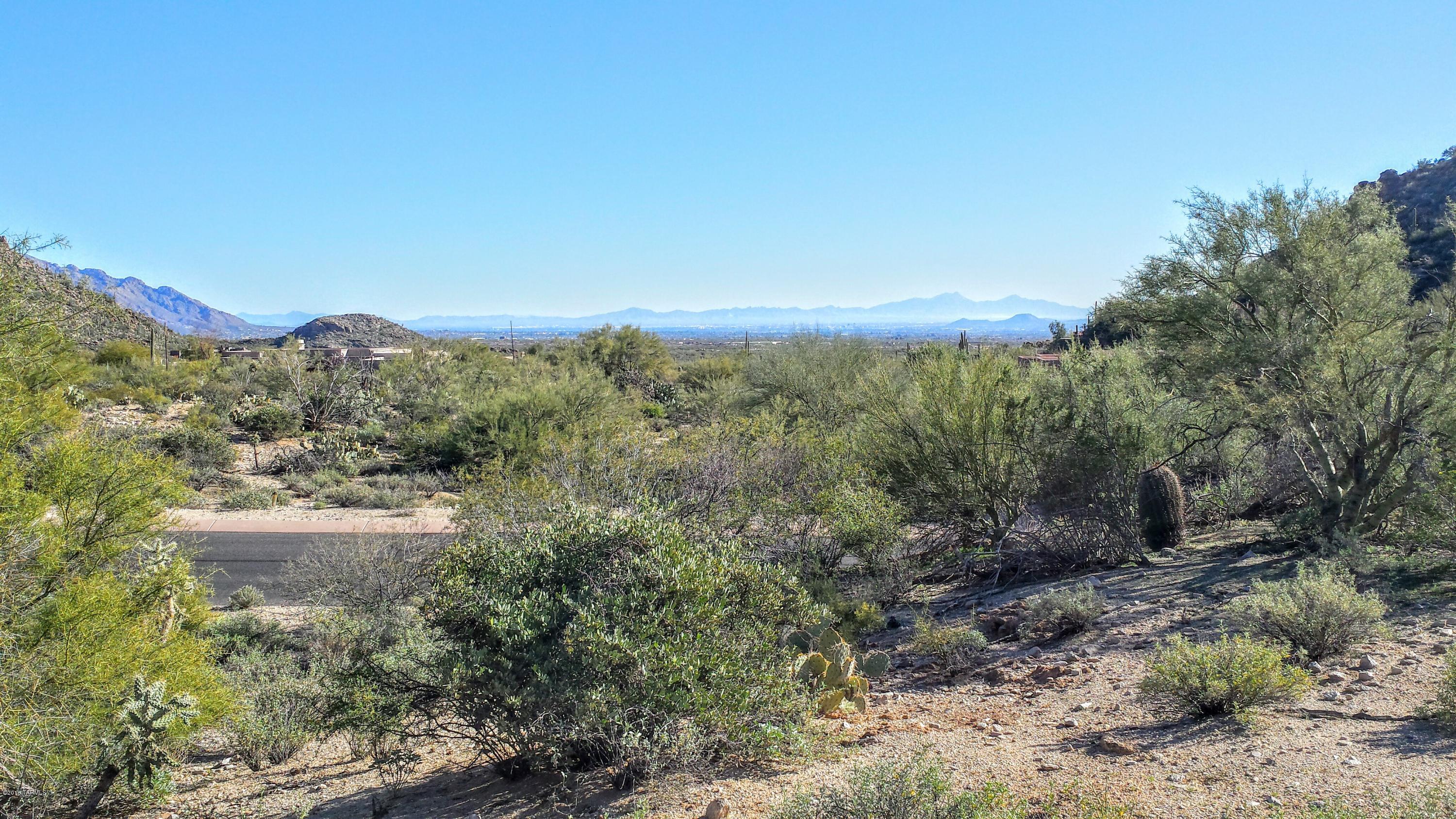Canyon Pass At Dove Mountain - Land