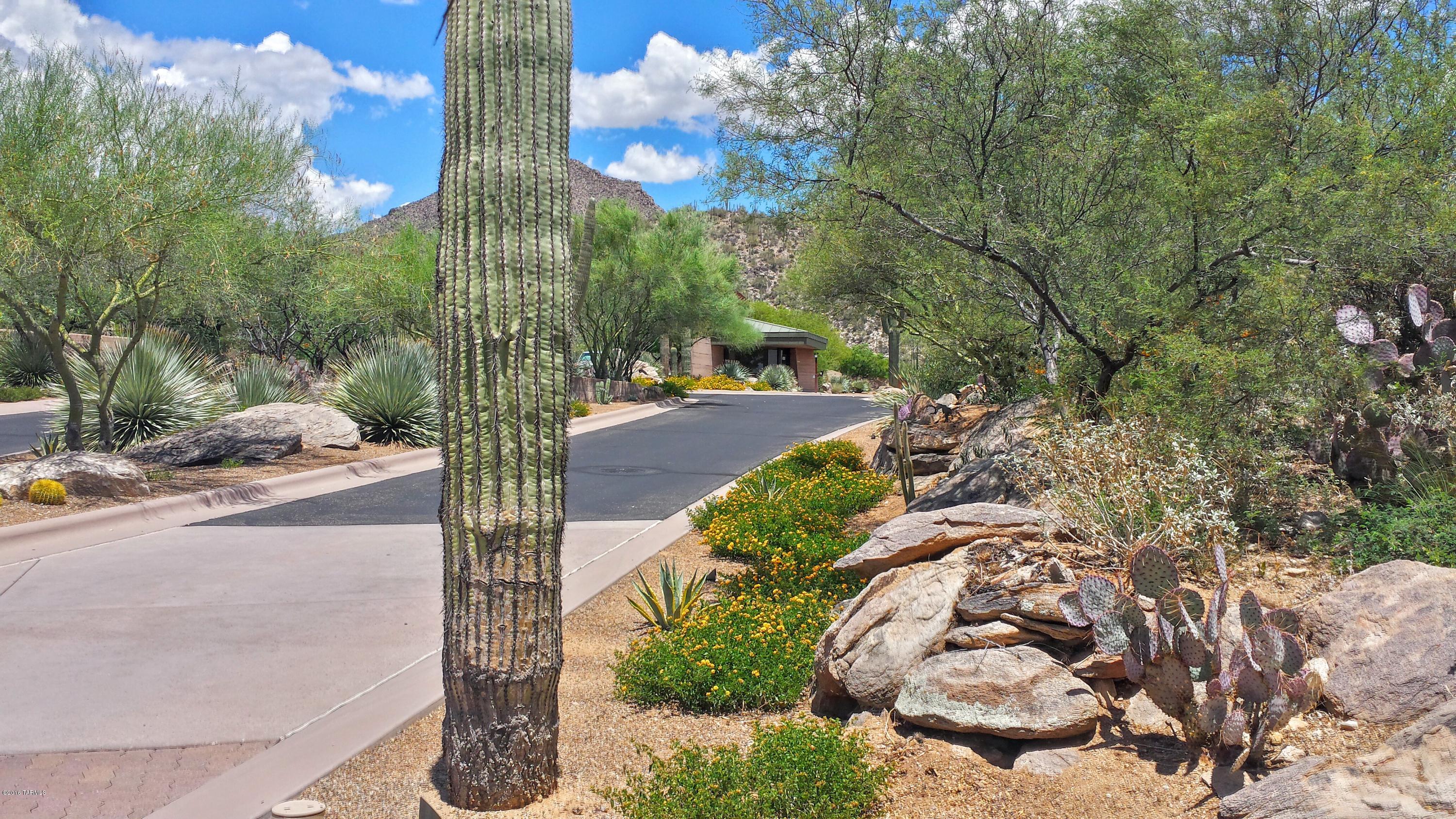 Canyon Pass At Dove Mountain - Land