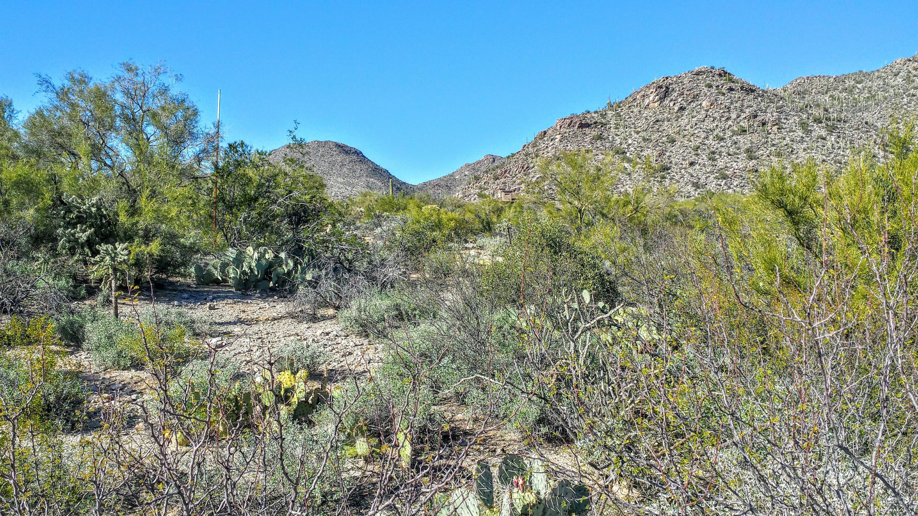 Canyon Pass At Dove Mountain - Land