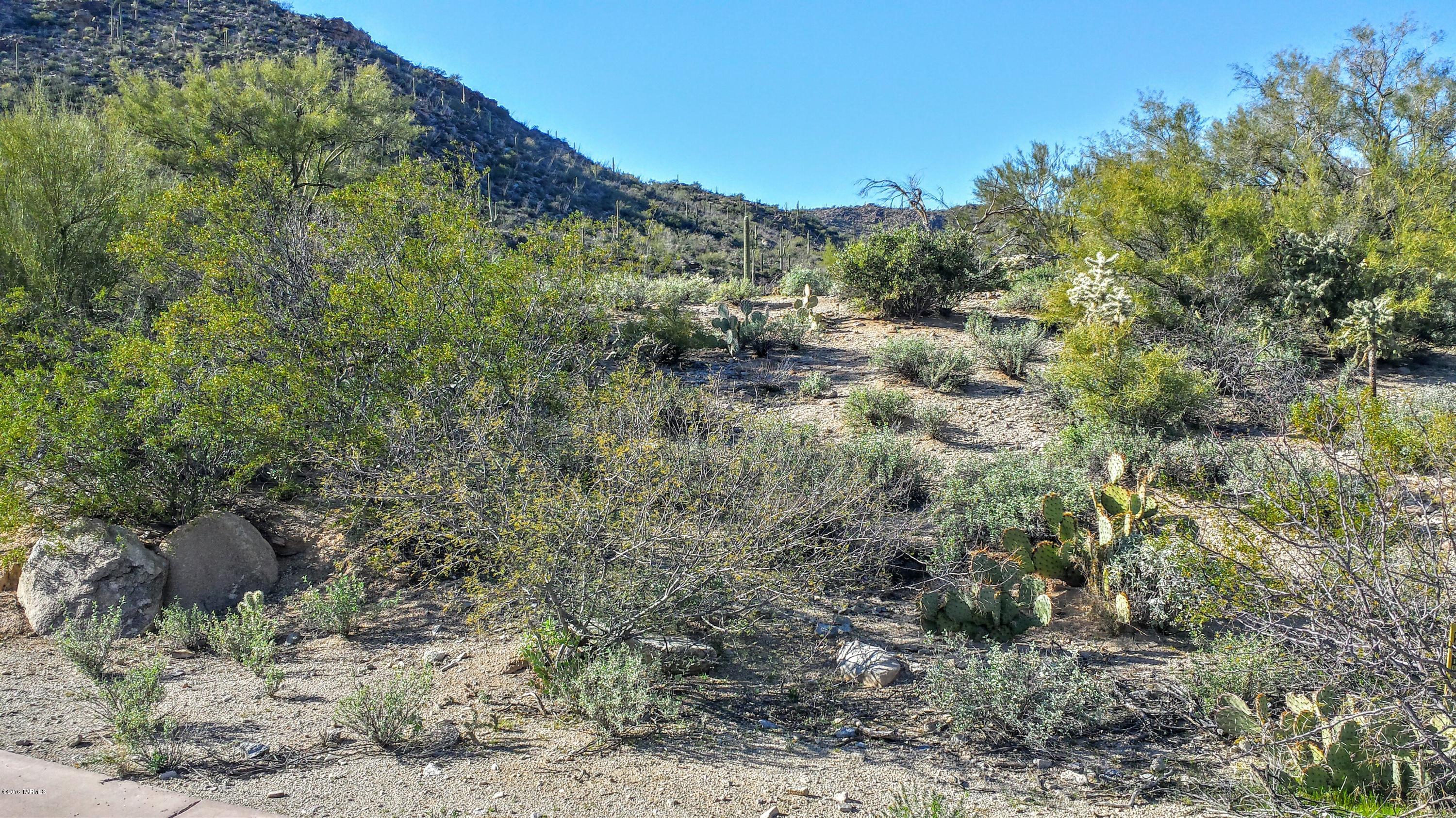 Canyon Pass At Dove Mountain - Land