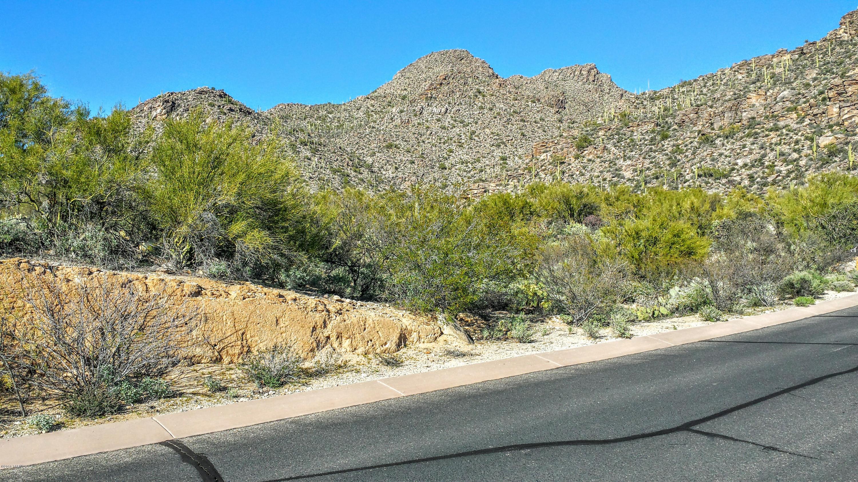 Canyon Pass At Dove Mountain - Land