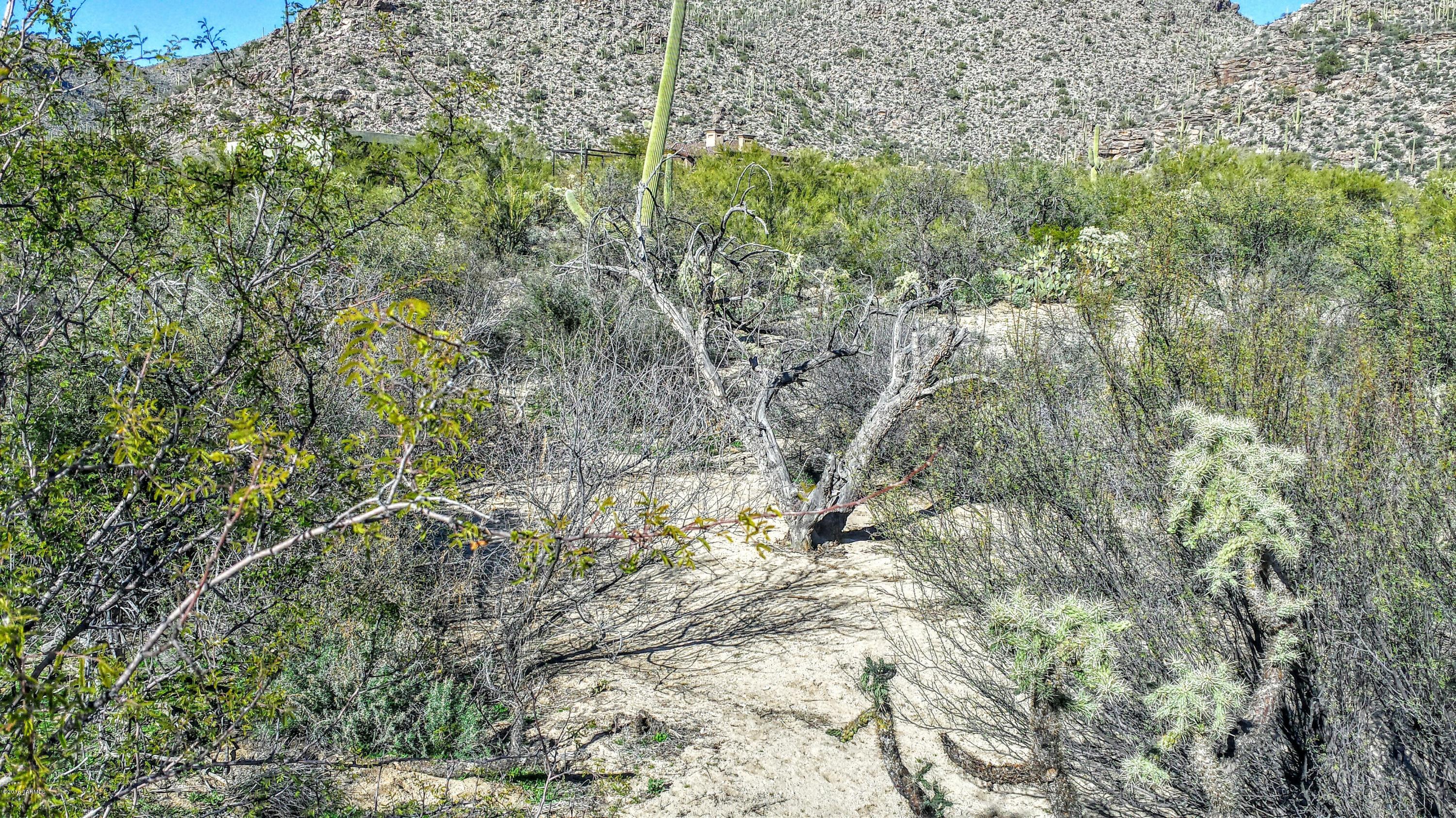 Canyon Pass At Dove Mountain - Land