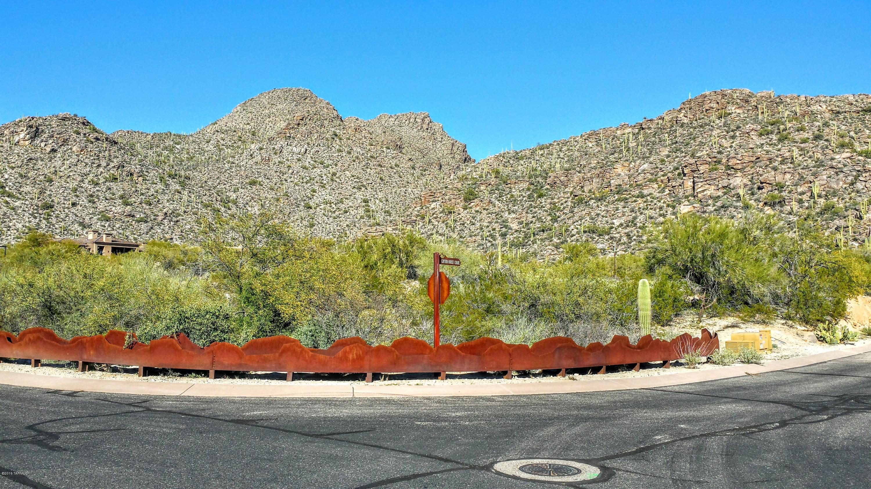 Canyon Pass At Dove Mountain - Land