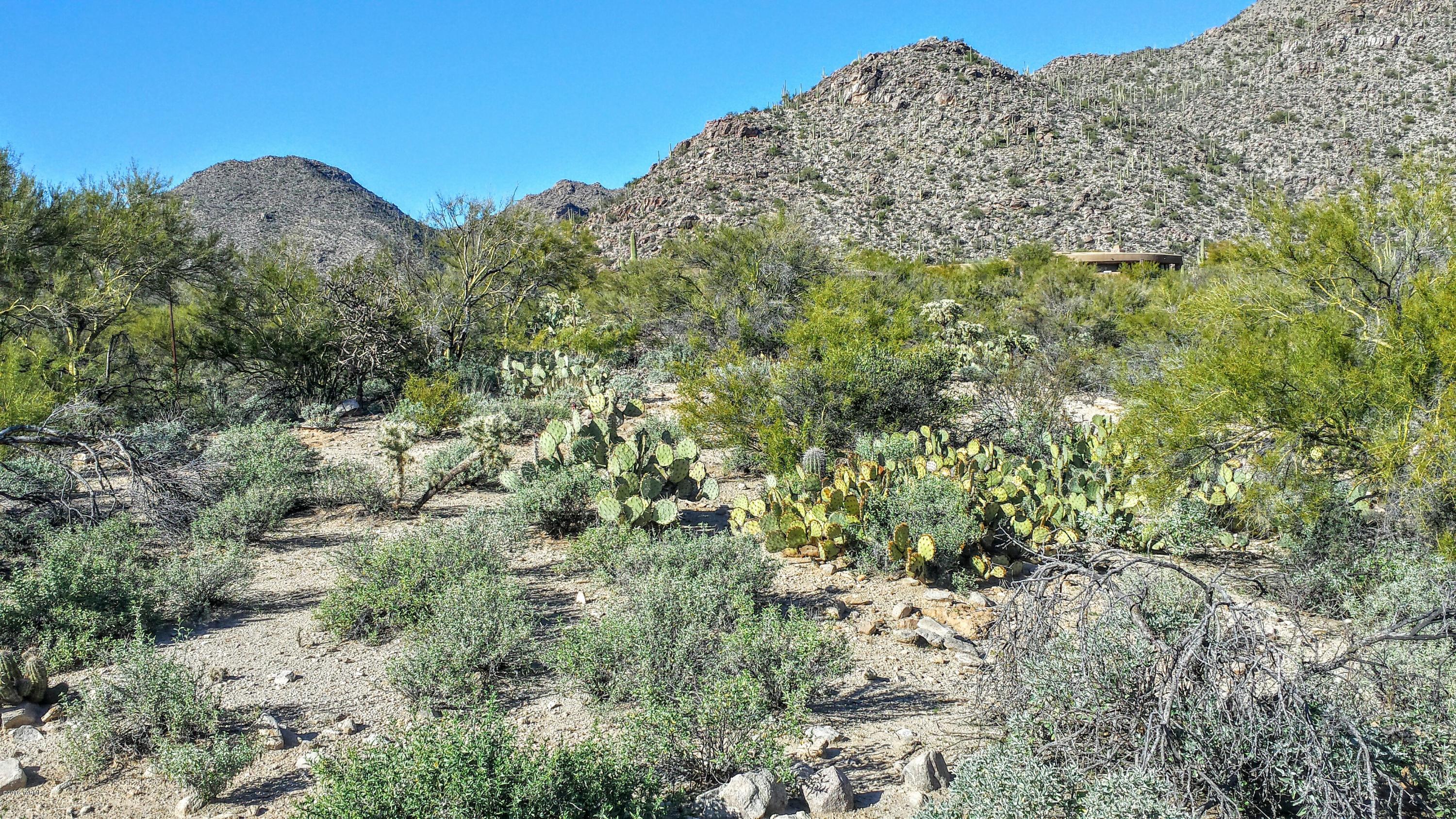 Canyon Pass At Dove Mountain - Land