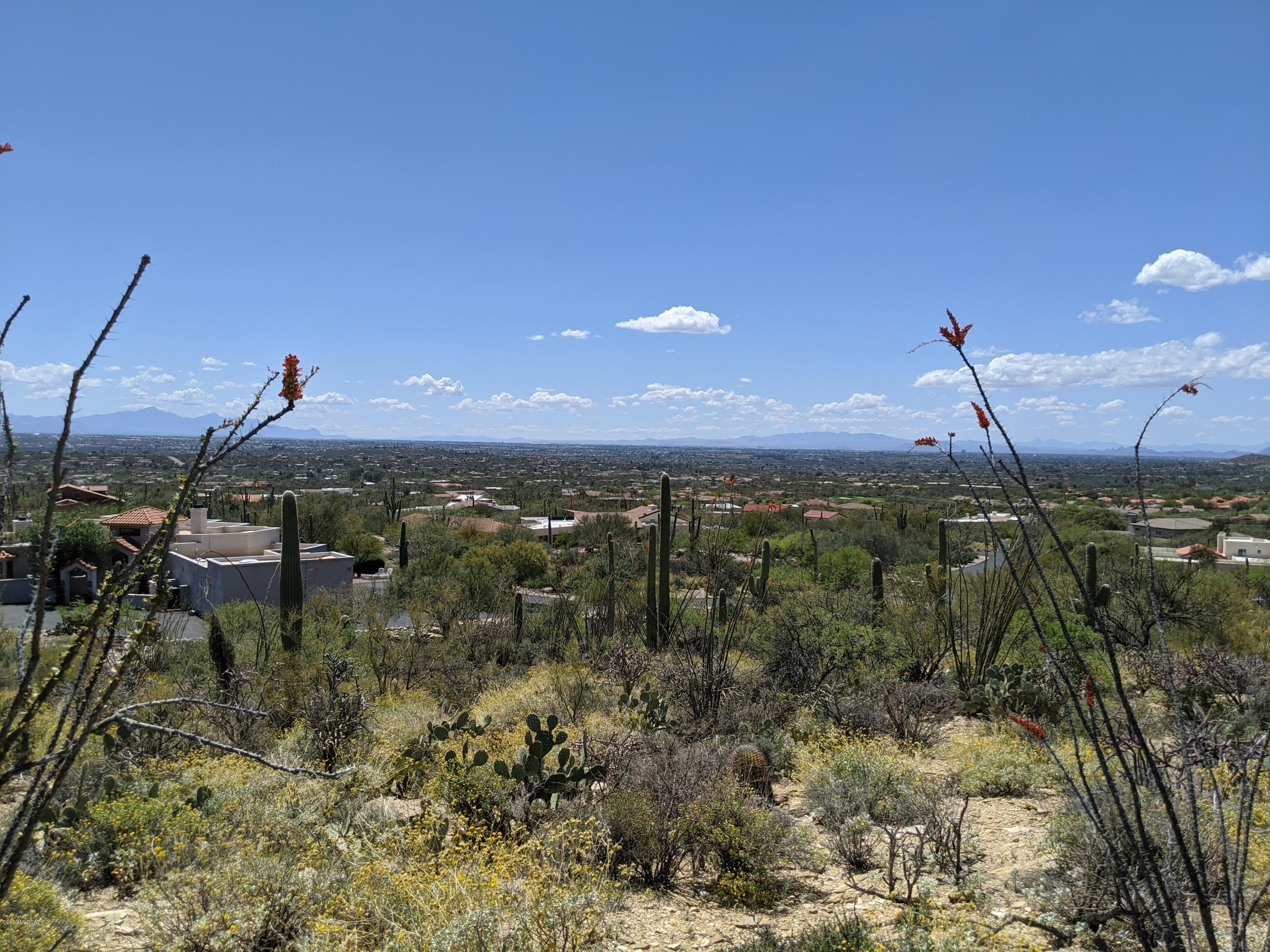 Estrella Vista Estates (1-23) - Land