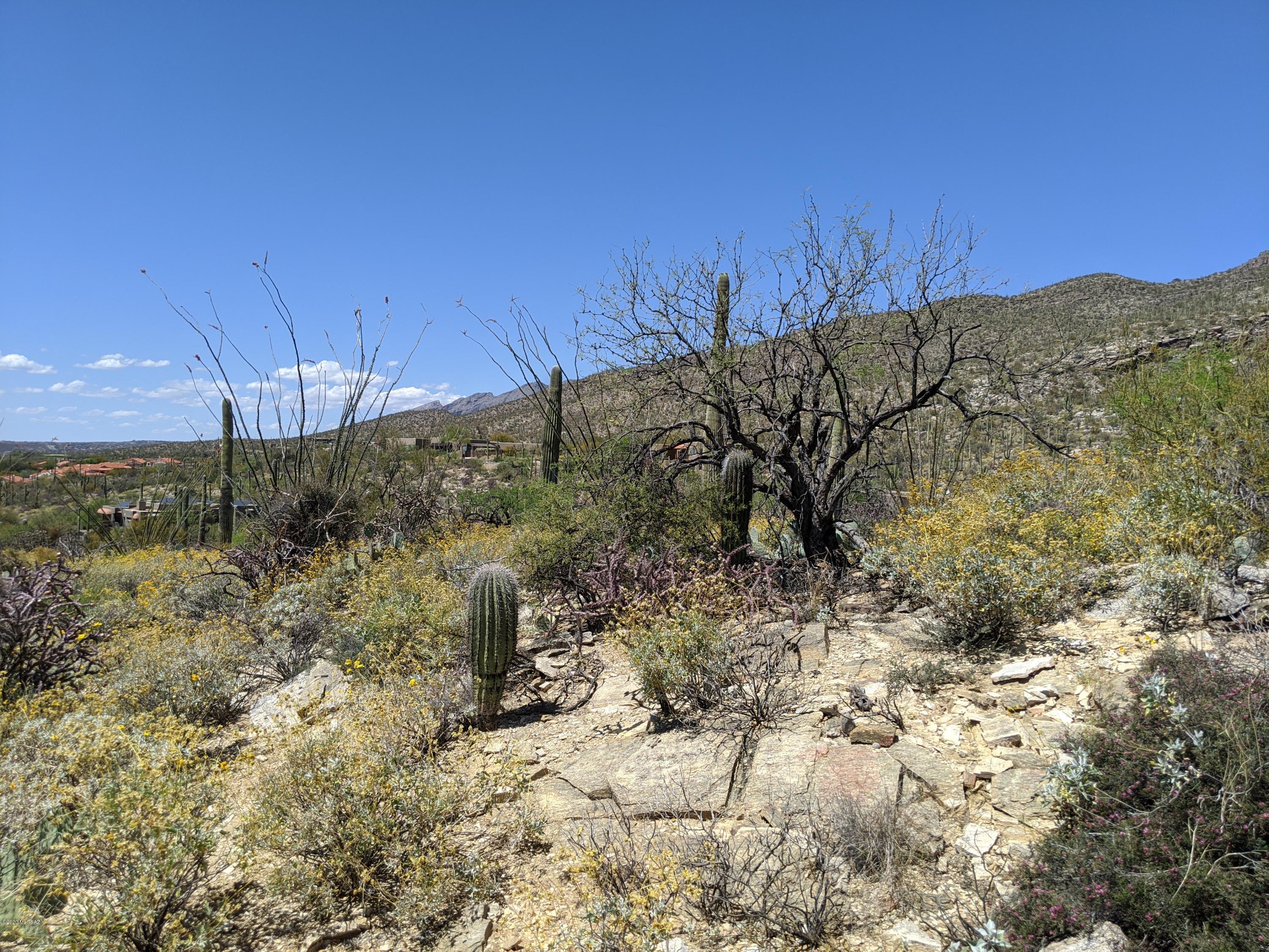 Estrella Vista Estates (1-23) - Land