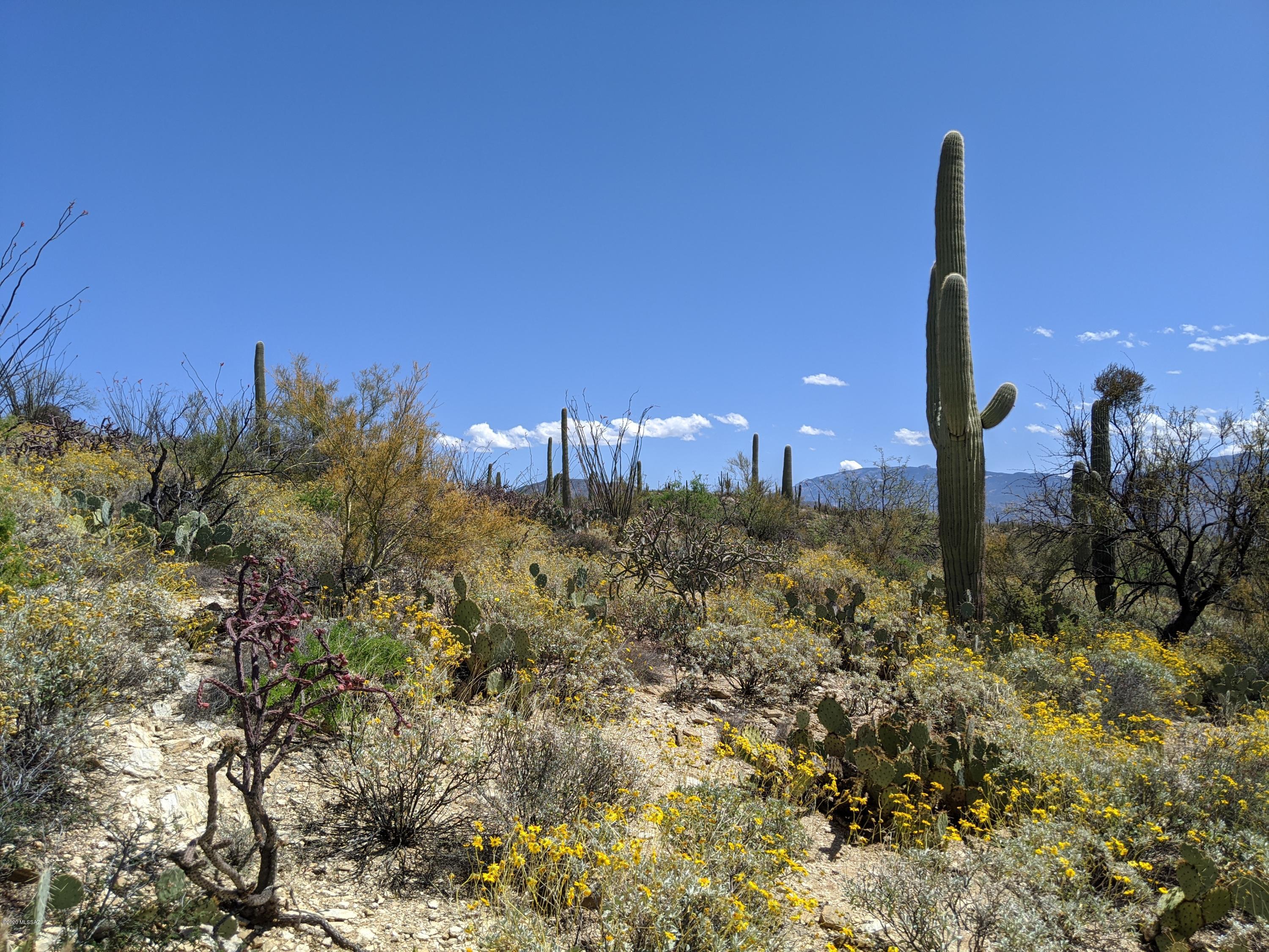 Estrella Vista Estates (1-23) - Land
