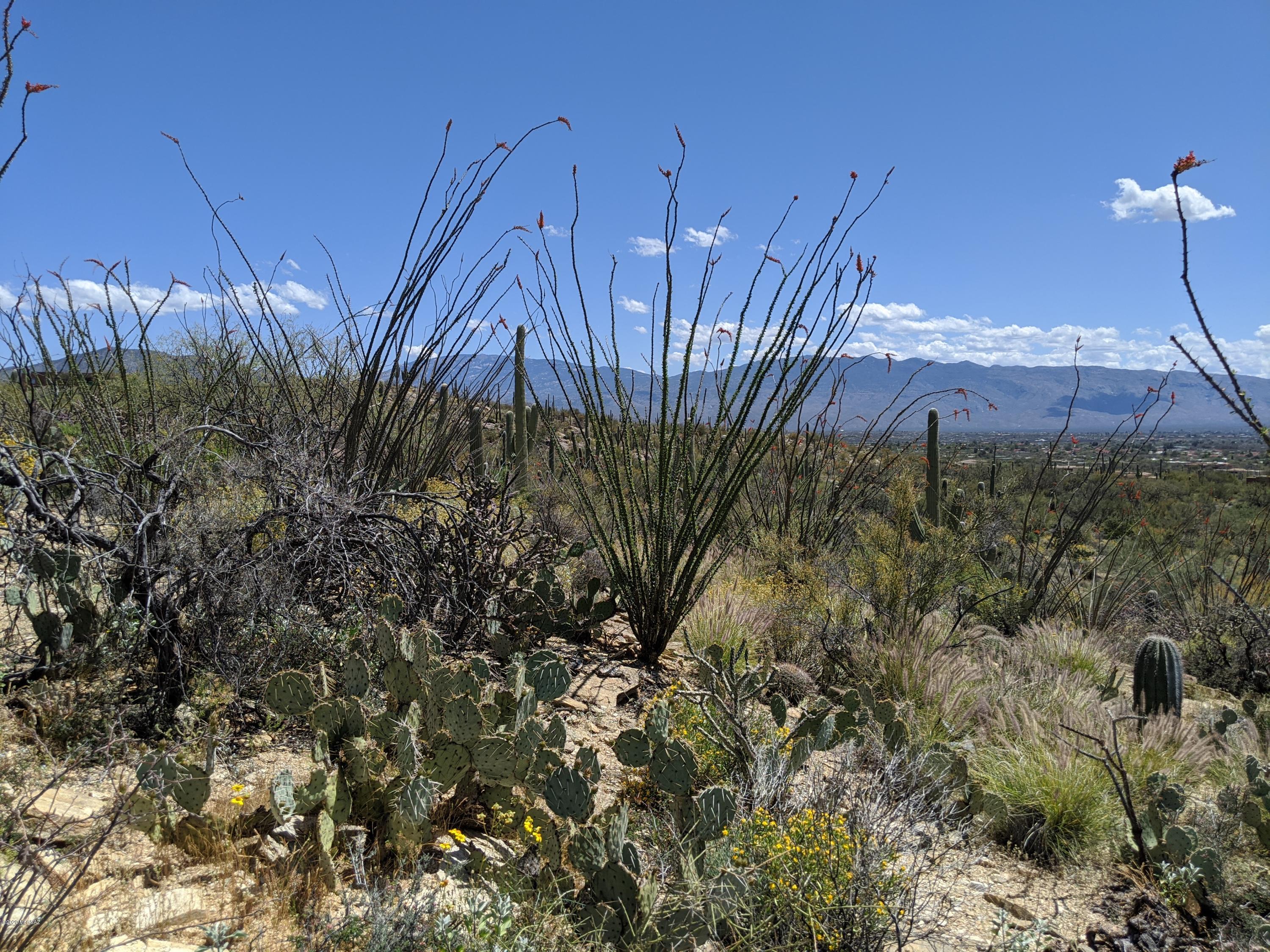 Estrella Vista Estates (1-23) - Land