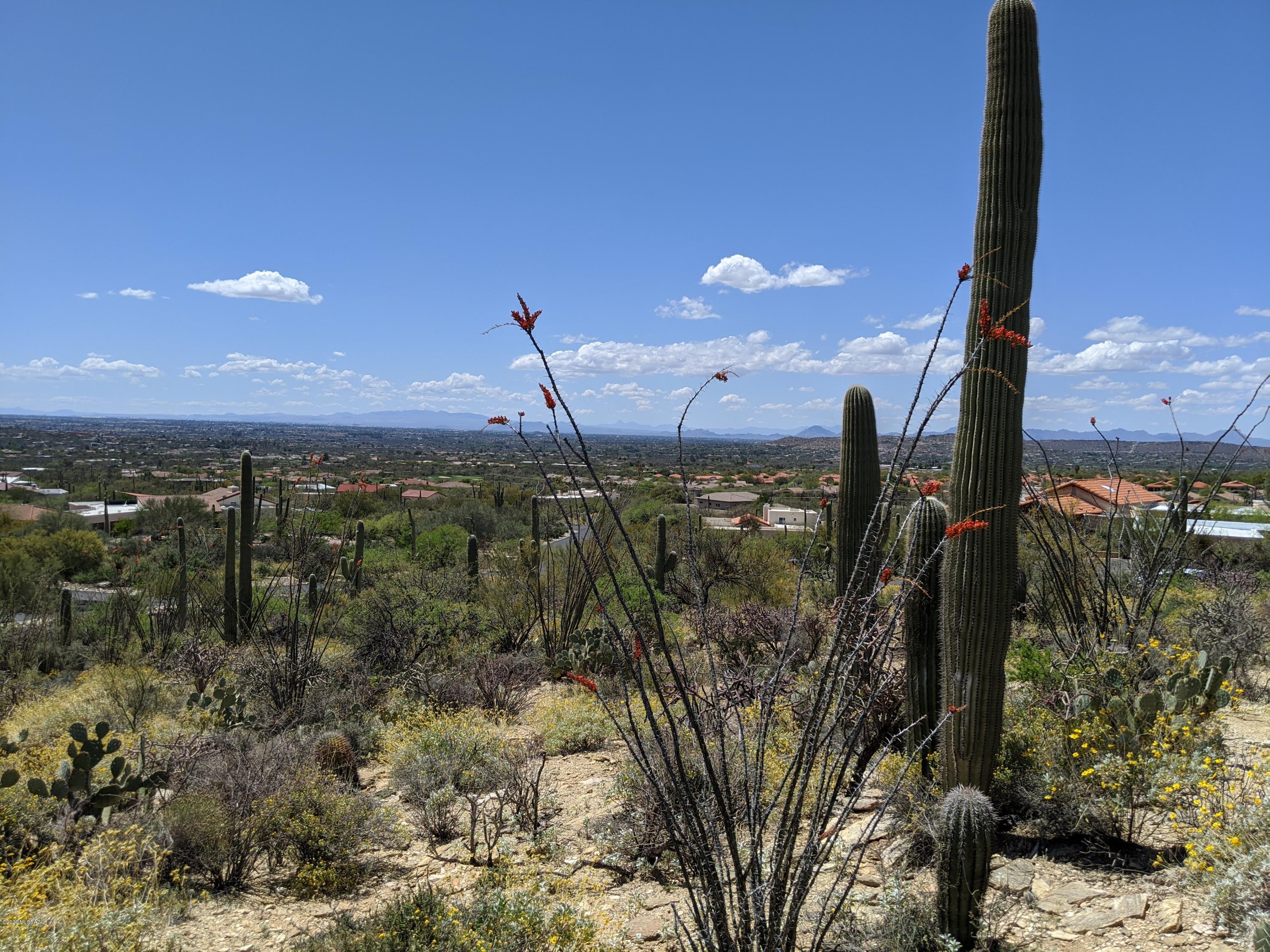 Estrella Vista Estates (1-23) - Land