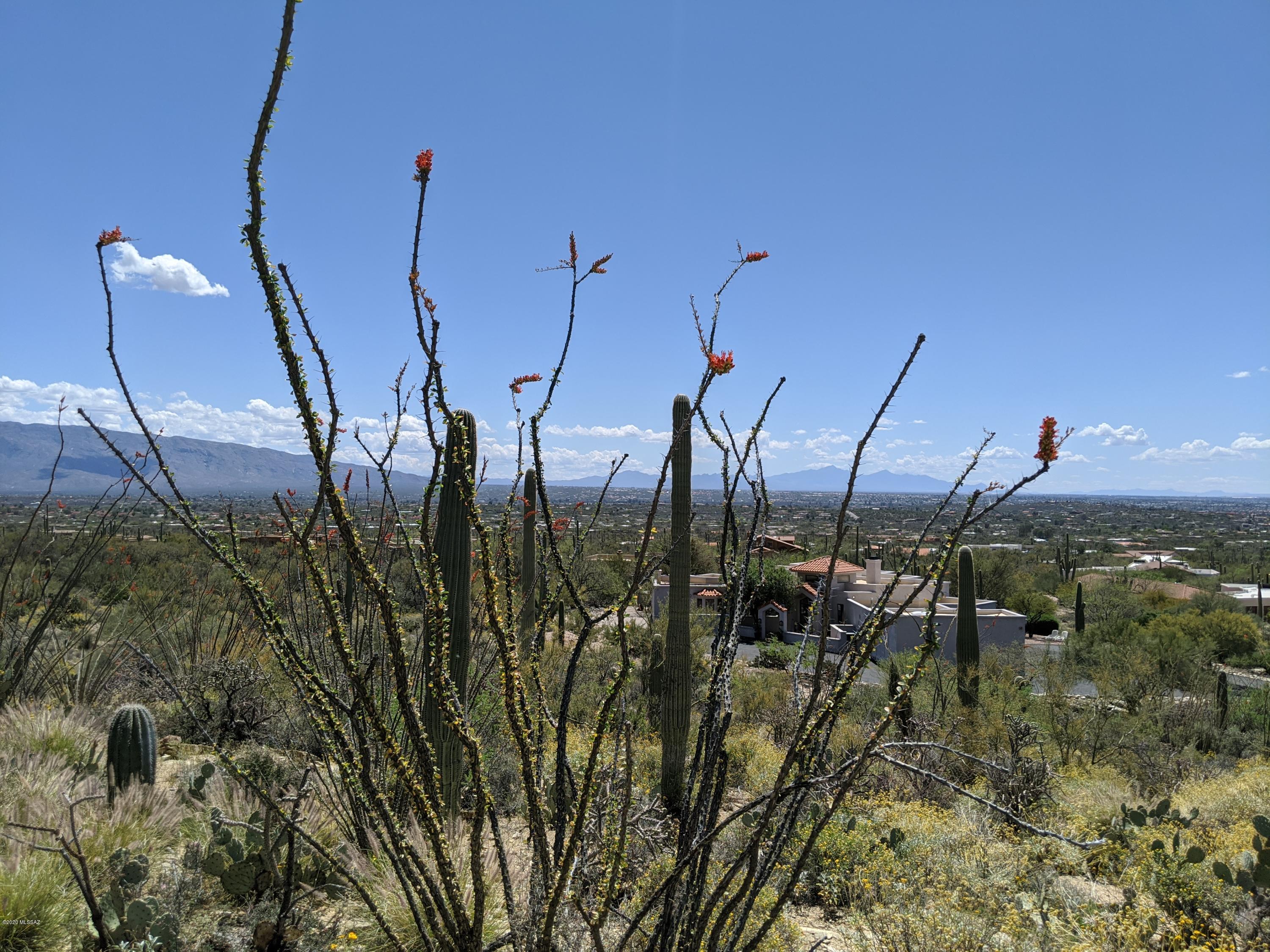 Estrella Vista Estates (1-23) - Land