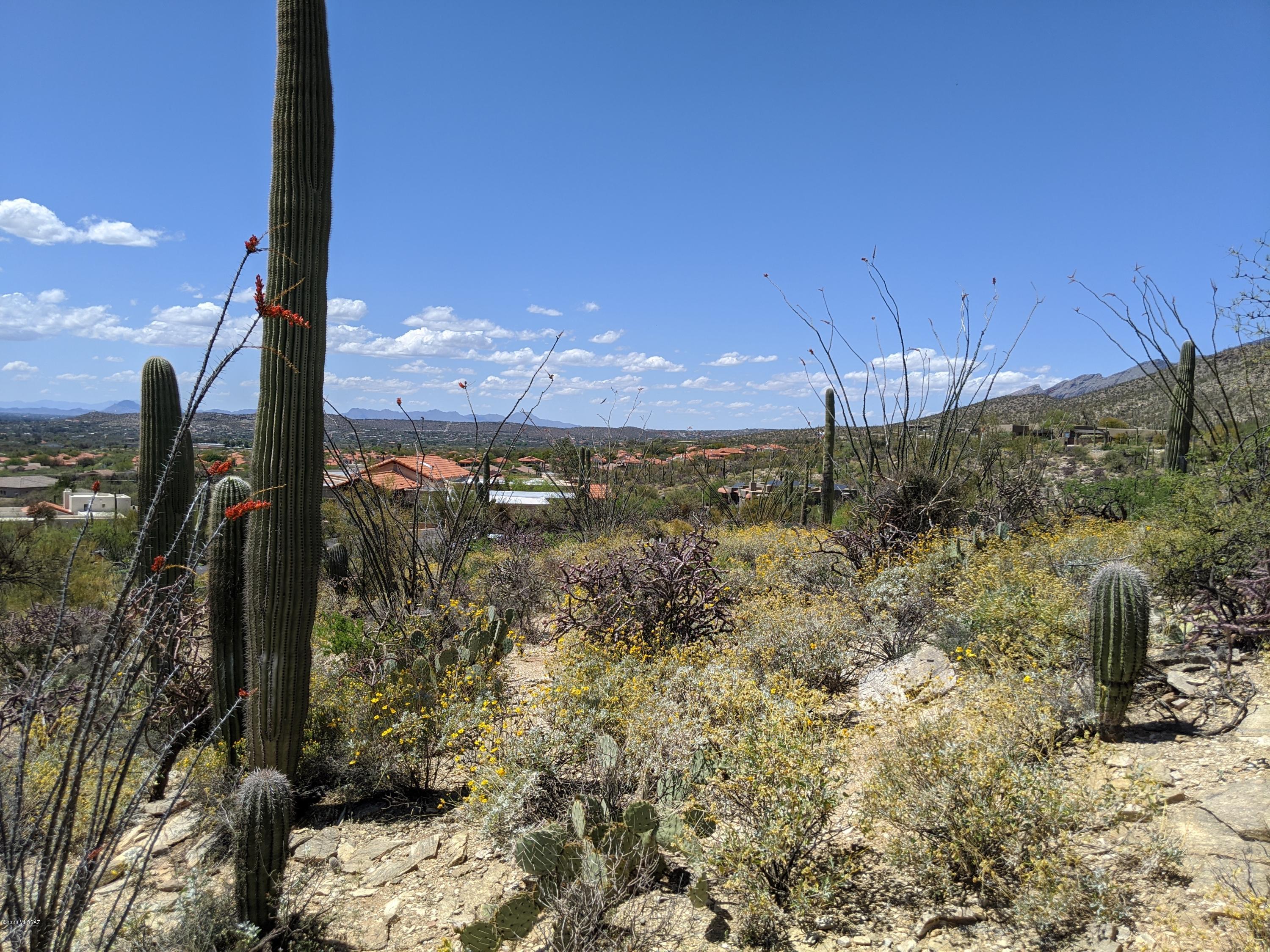 Estrella Vista Estates (1-23) - Land