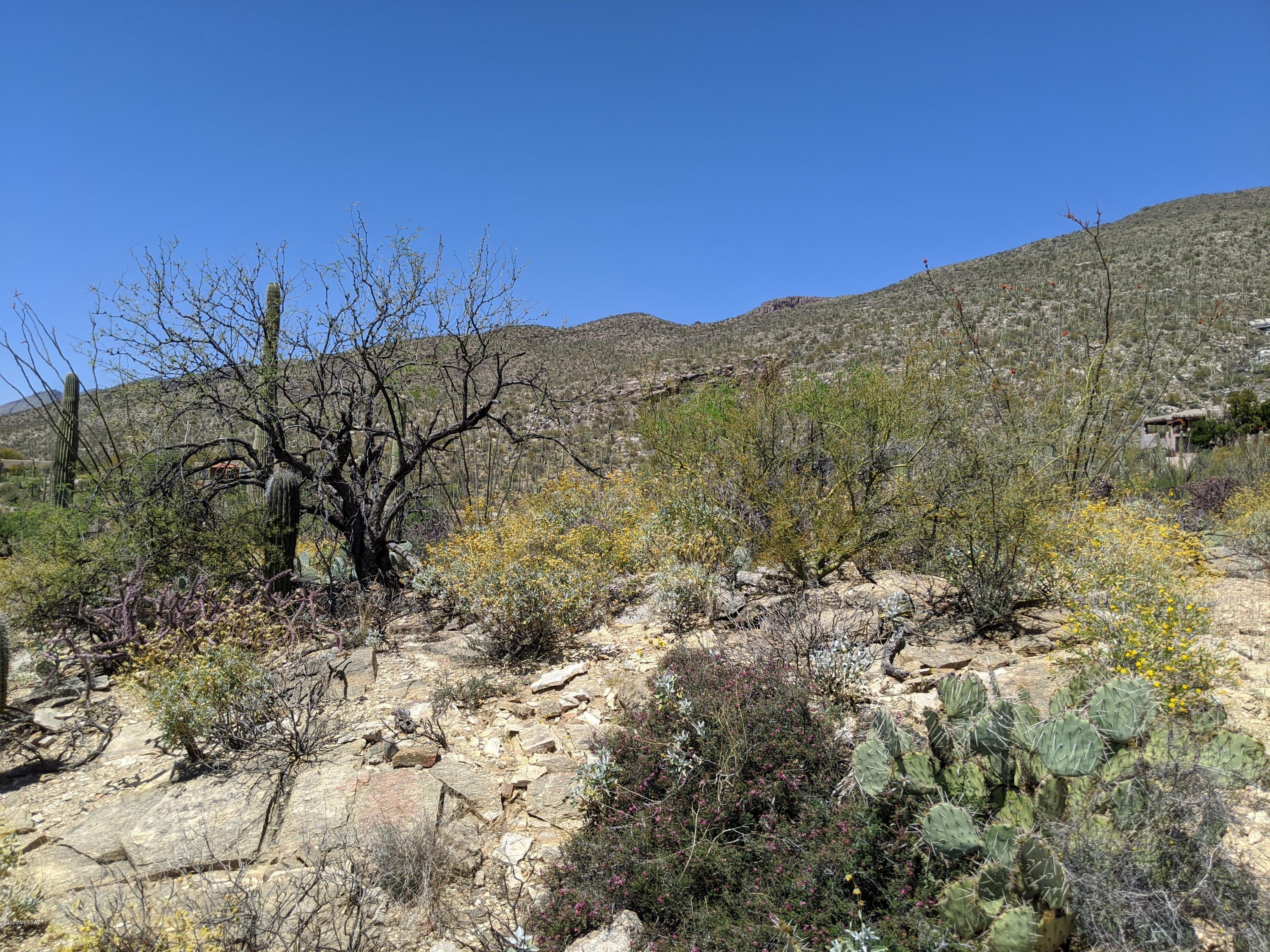 Estrella Vista Estates (1-23) - Land