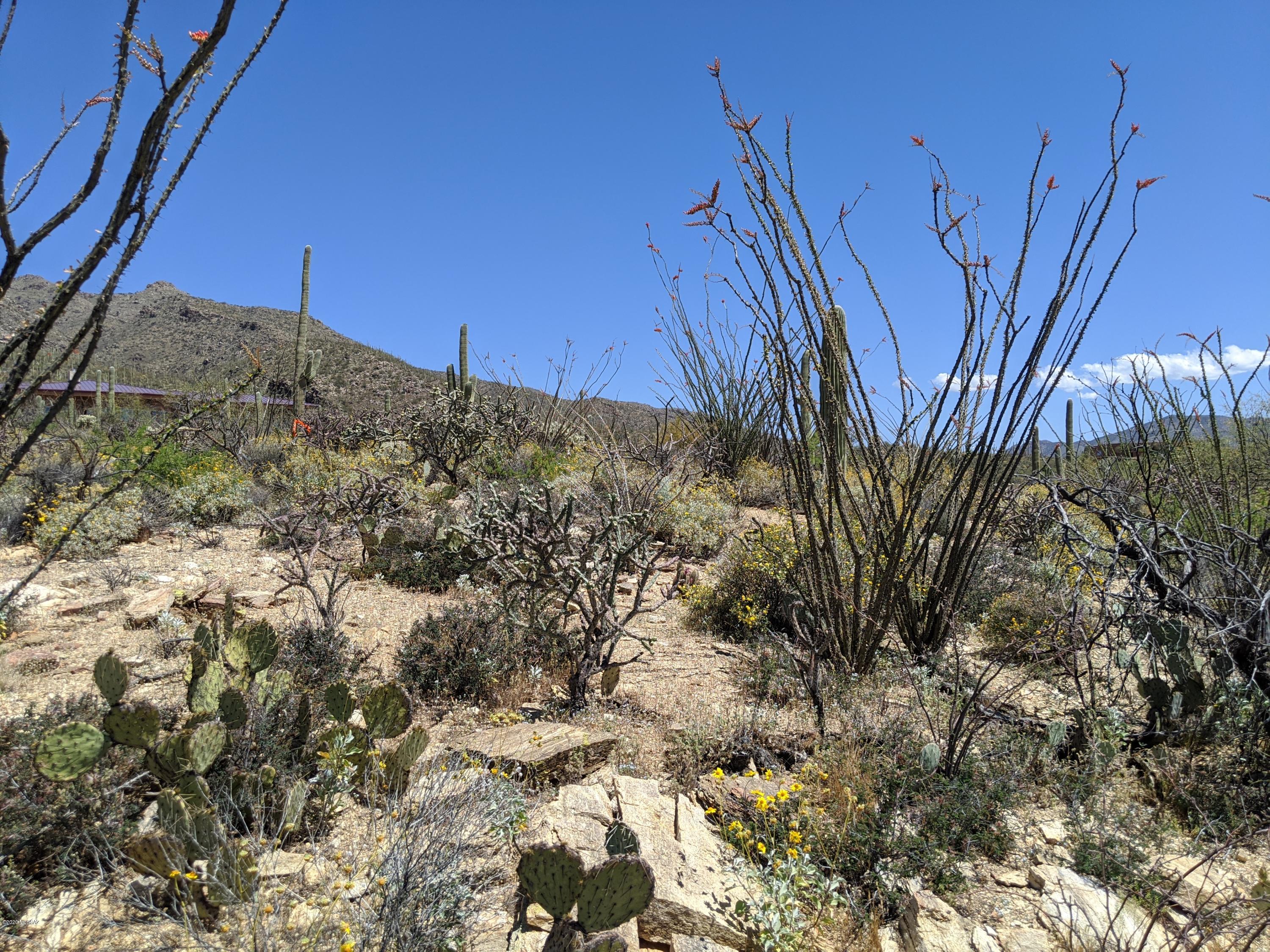 Estrella Vista Estates (1-23) - Land