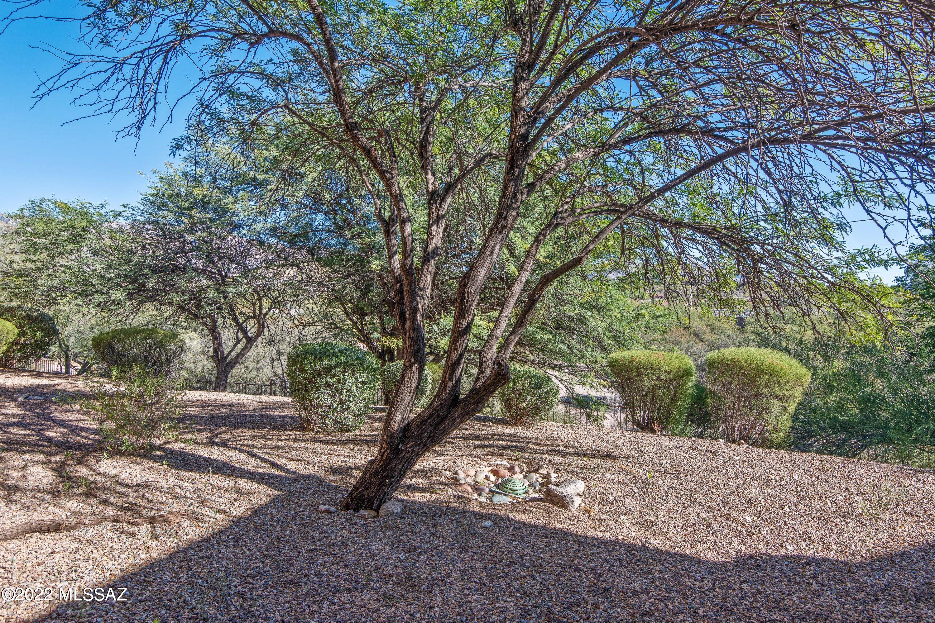Villas at Sabino Canyon Condominiums - Residential Lease