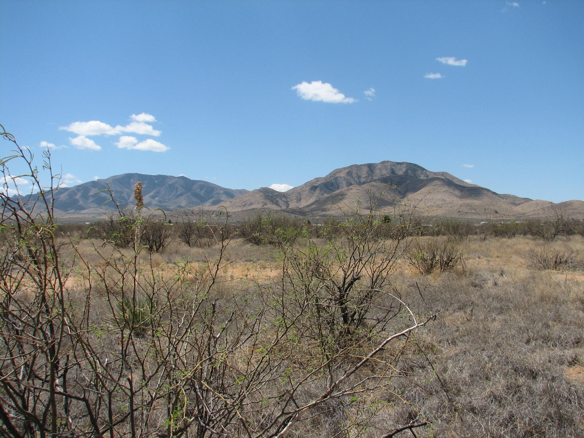 Panoramic Views of the Dragoon Mountains, the Chihuahua Mountains.  Level land just 2000' north of paved Dragoon Road.   Electric, phone in Mesquite Road.   Good desert vegetation.  Site built or manufactured homes allowed.  Really a special property at a reasonable price.