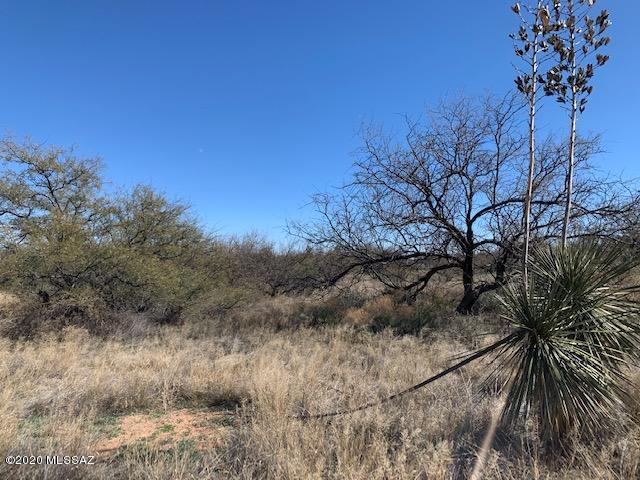 Mescal Lakes - Land