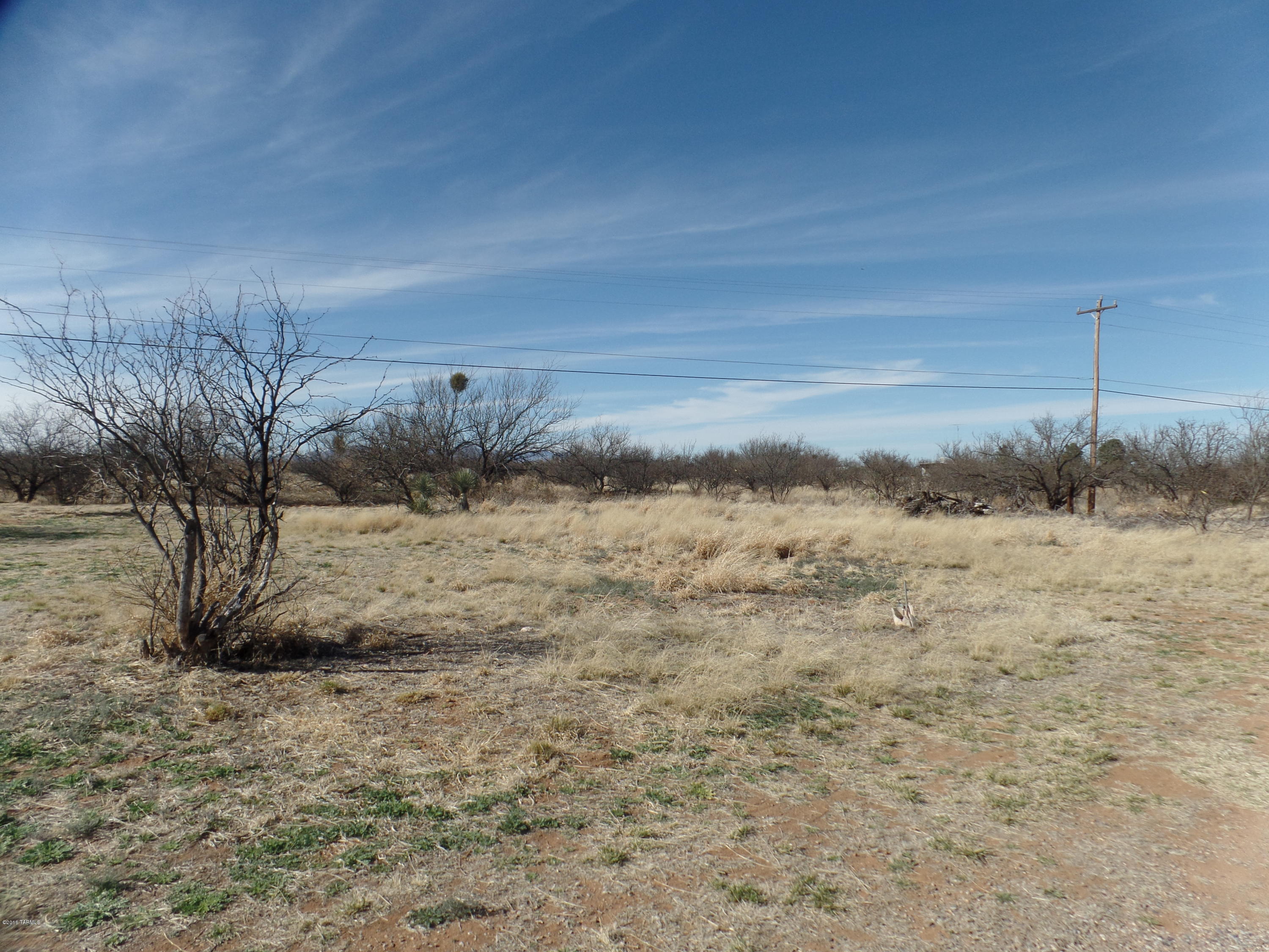 Out Of Pima County - Land