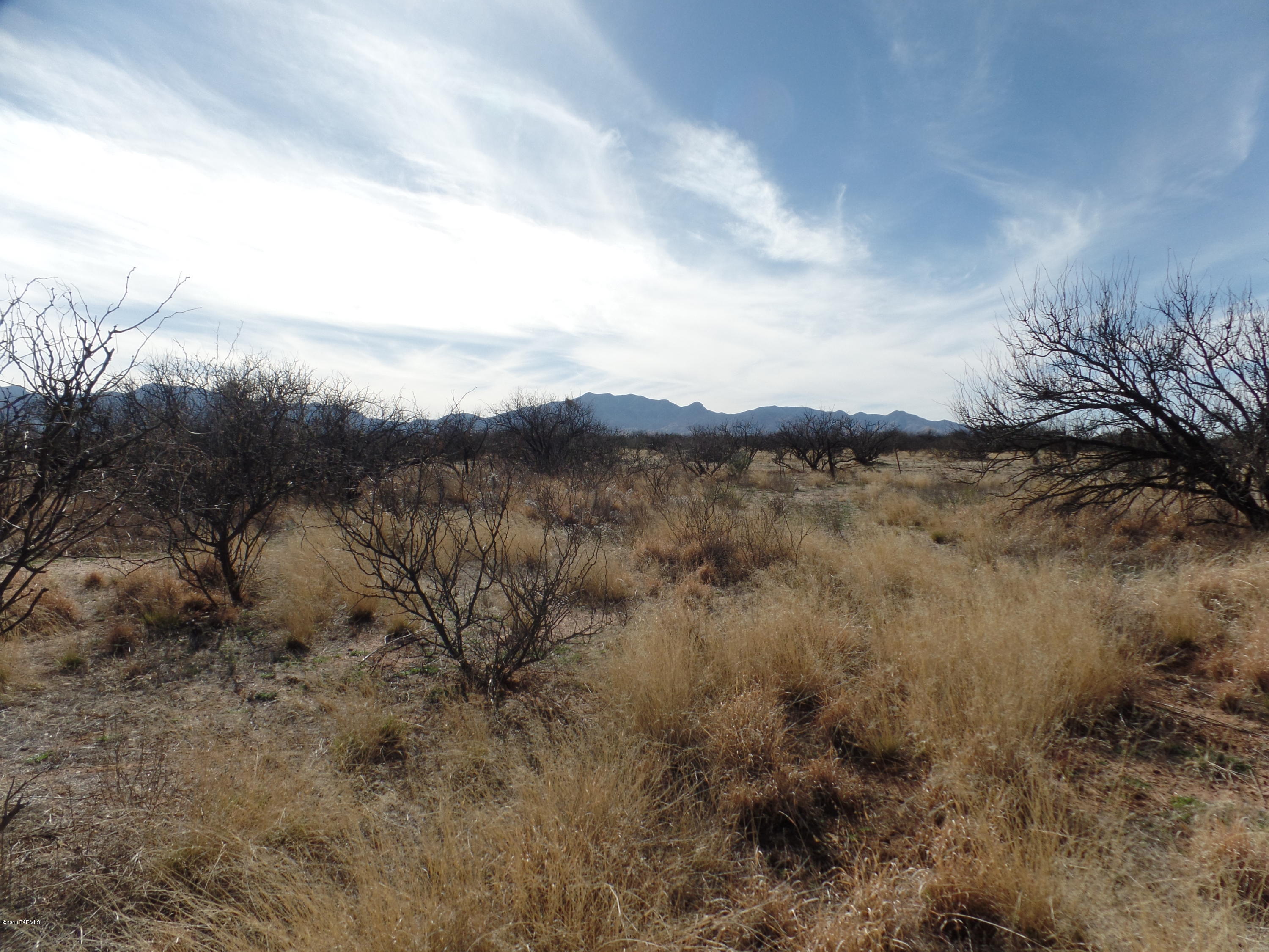 Out Of Pima County - Land