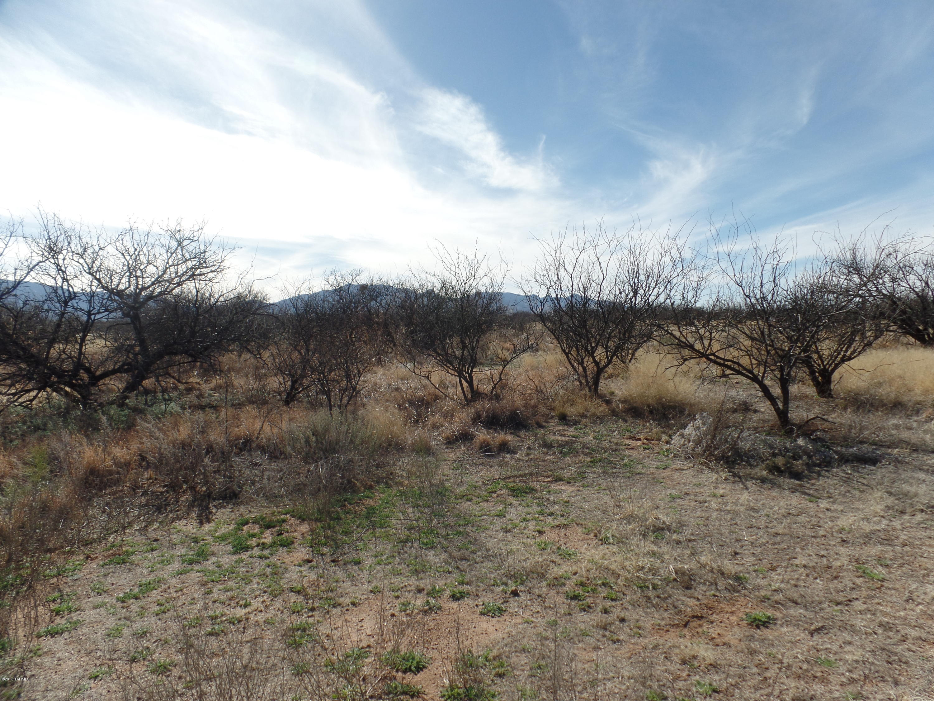Out Of Pima County - Land