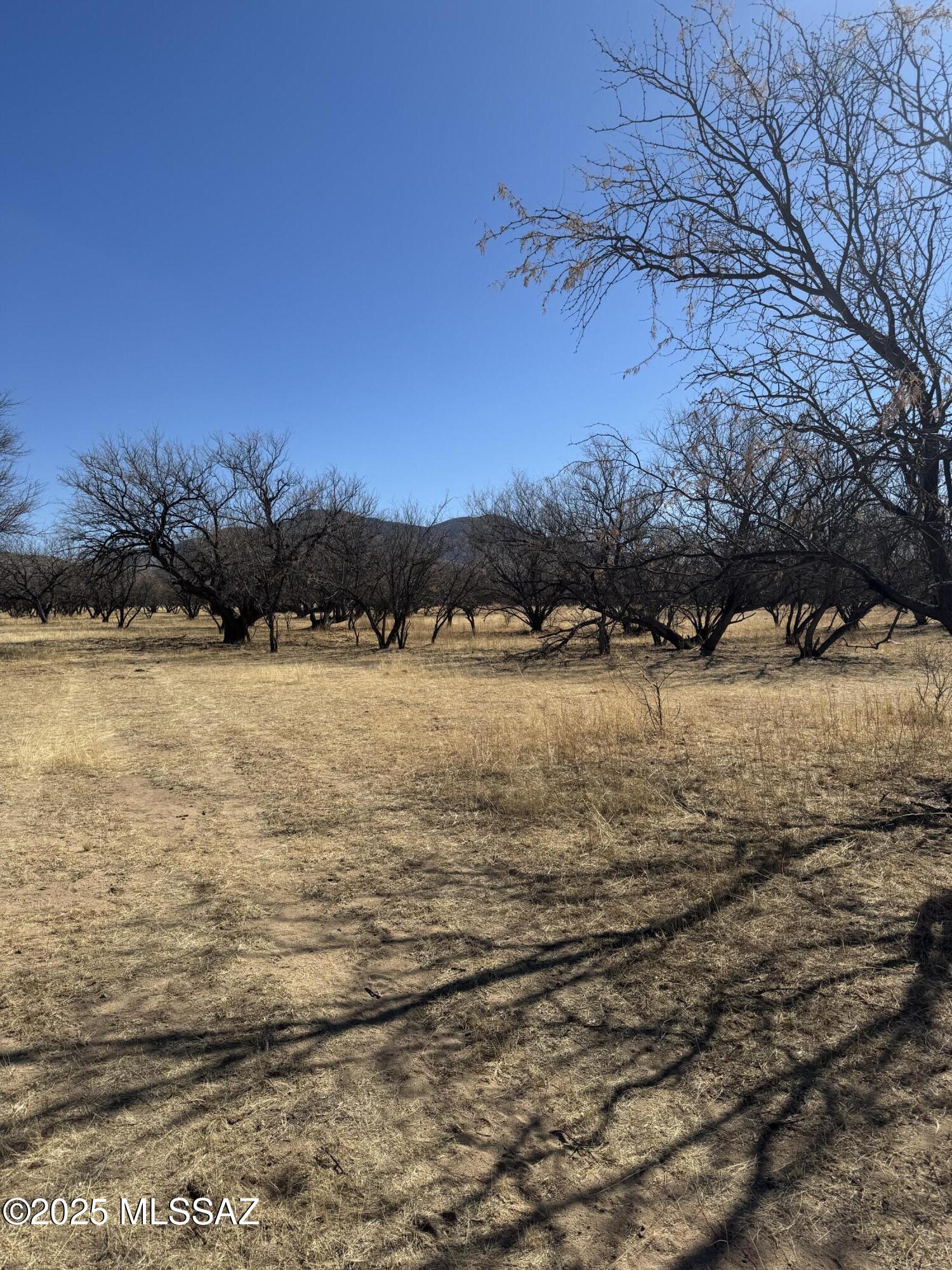 Wonderful opportunity to own a prime Cul-de-sac lot in the Kino Springs community! Perfect lot to build your retirement home, off-grid home, tiny home, or a home builder! Local water company can service the lot, sewer can be available, and electric is close by. Wonderful views of the mountains surrounded by a serene environment. Seller willing to include parcel #150-02-318 at a discounted price if both parcels are purchased.