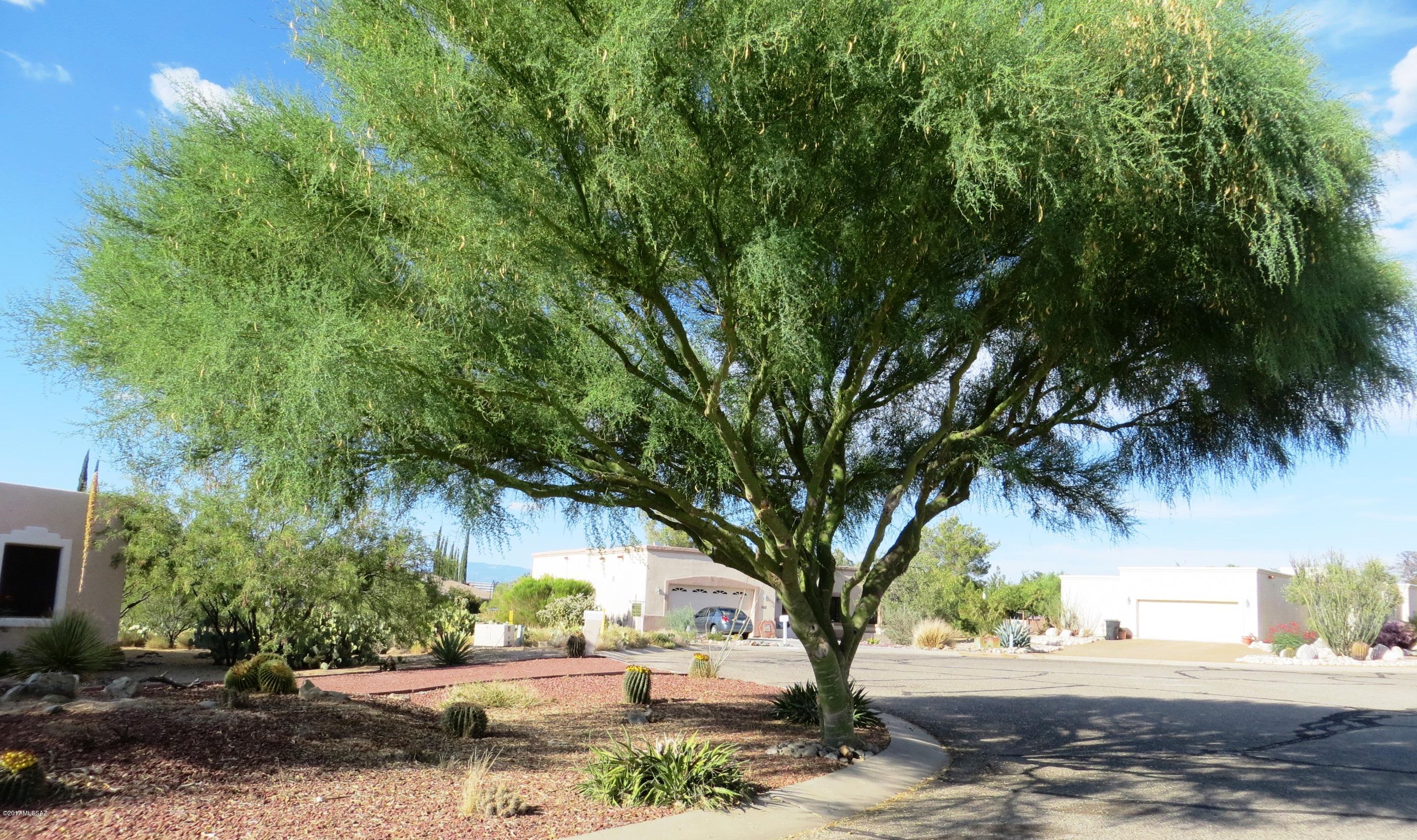 Santa Rita Bel Air Estates (1-125) - Land