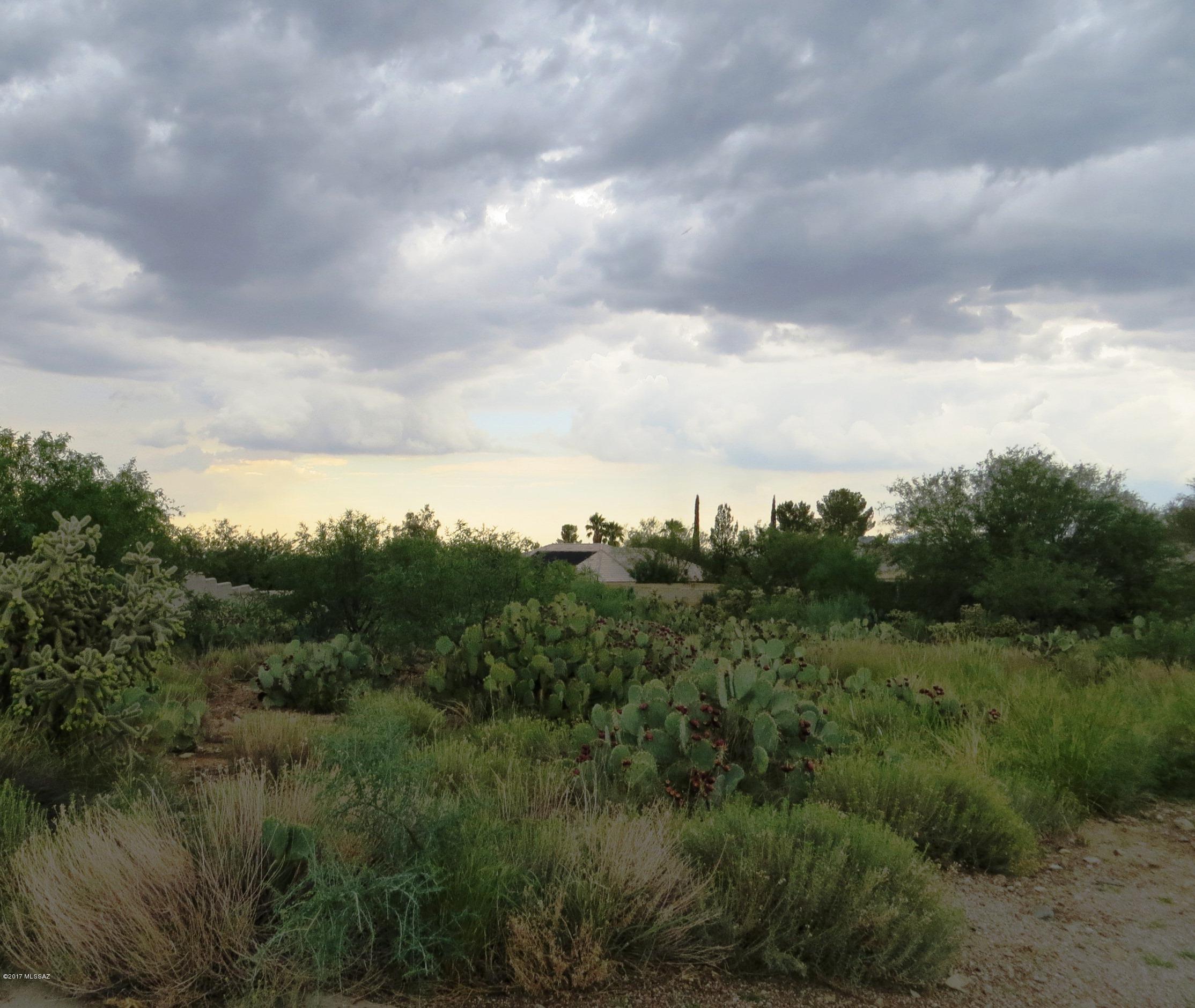 Santa Rita Bel Air Estates (1-125) - Land