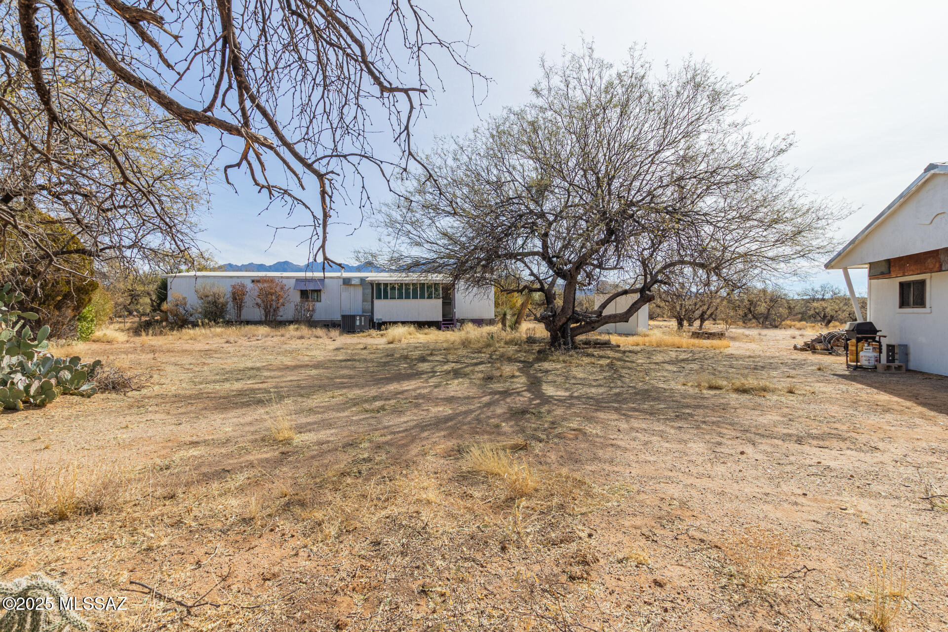 Elephant Head - Residential