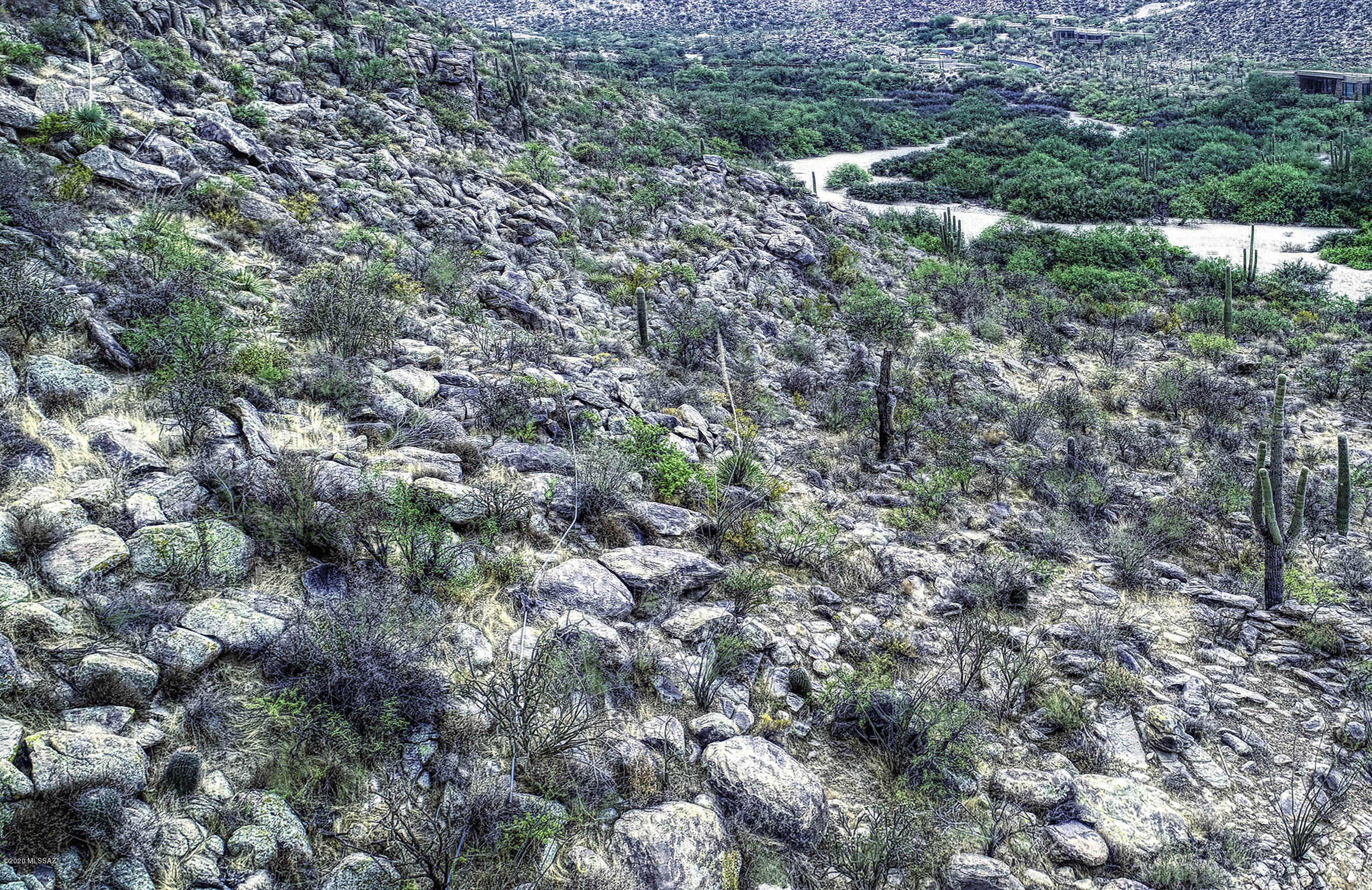 Canyon Pass II At Dove Mountain (49-110) - Land