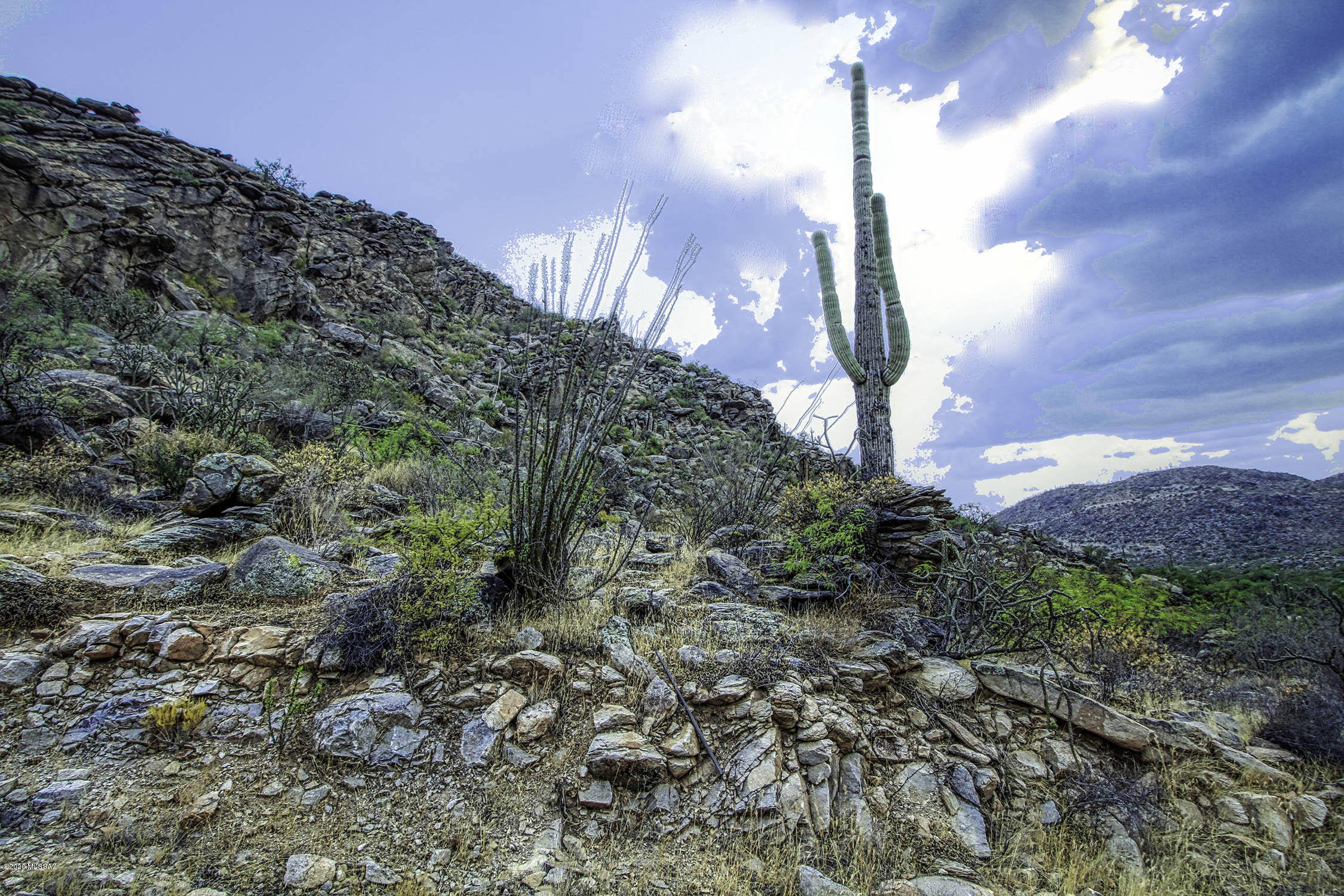 Canyon Pass II At Dove Mountain (49-110) - Land