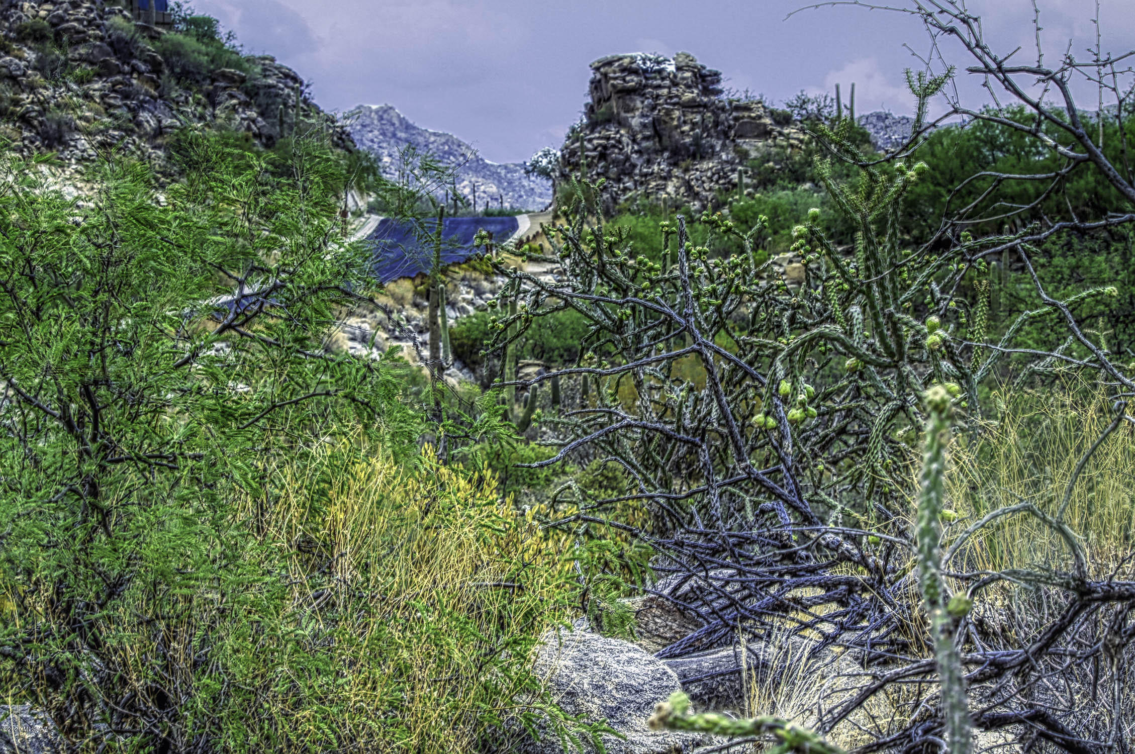 Canyon Pass II At Dove Mountain (49-110) - Land