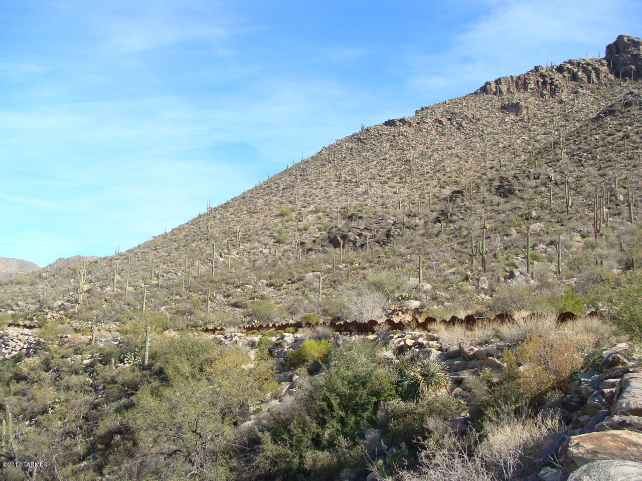 Canyon Pass II At Dove Mountain (49-110) - Land