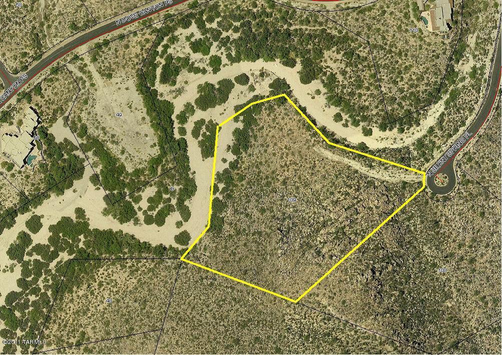 Canyon Pass II At Dove Mountain (49-110) - Land