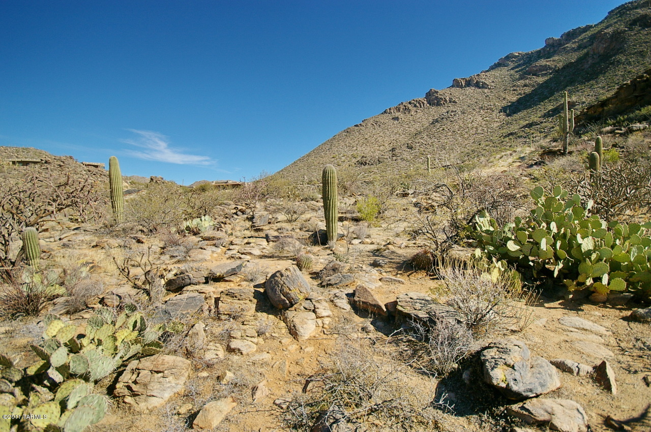 Canyon Pass II At Dove Mountain (49-110) - Land