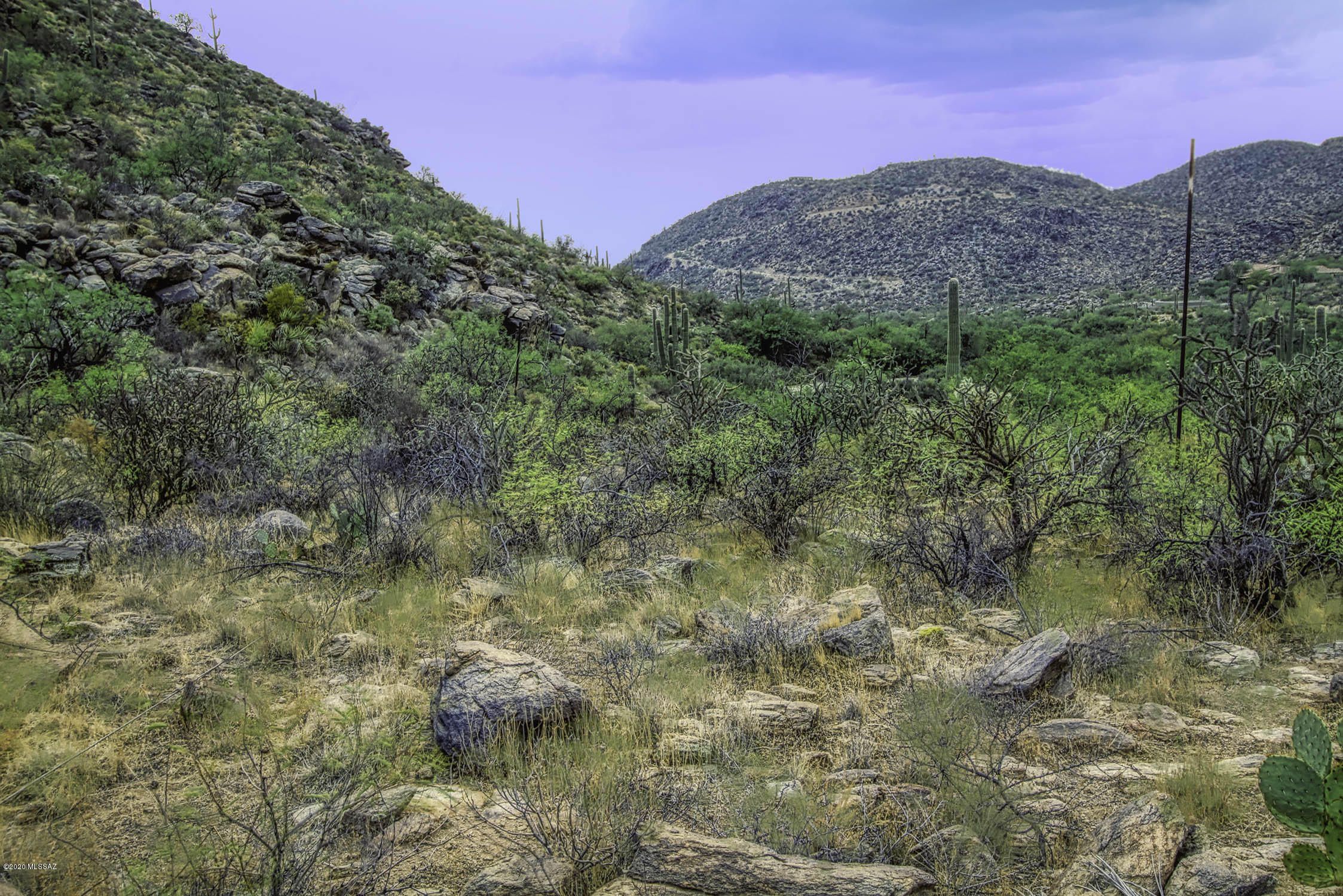 Canyon Pass II At Dove Mountain (49-110) - Land