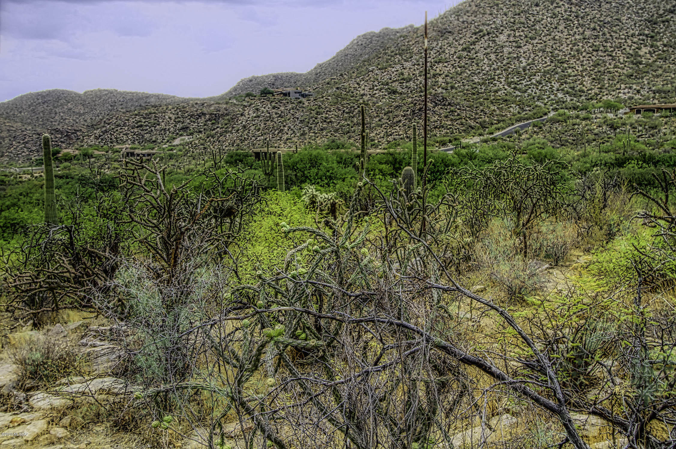 Canyon Pass II At Dove Mountain (49-110) - Land
