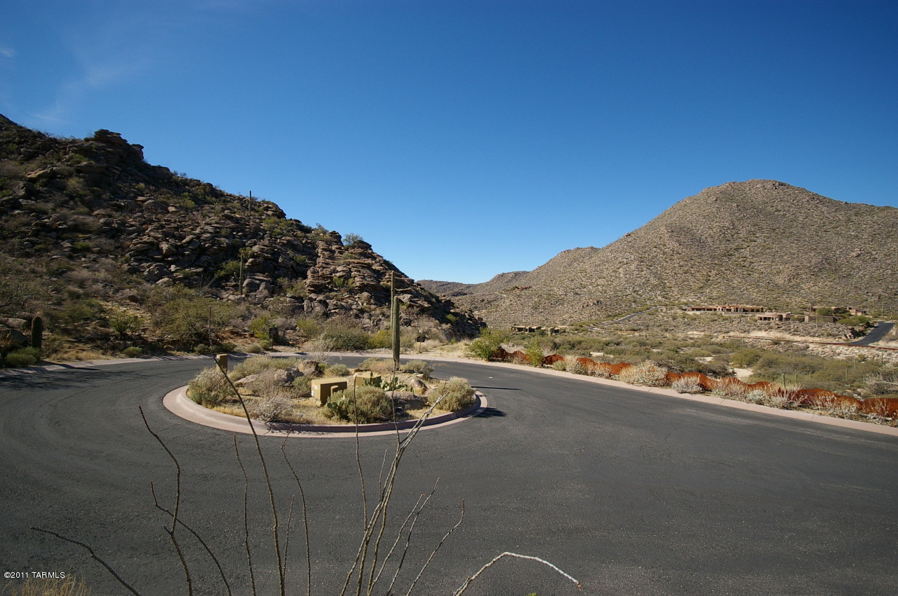 Canyon Pass II At Dove Mountain (49-110) - Land