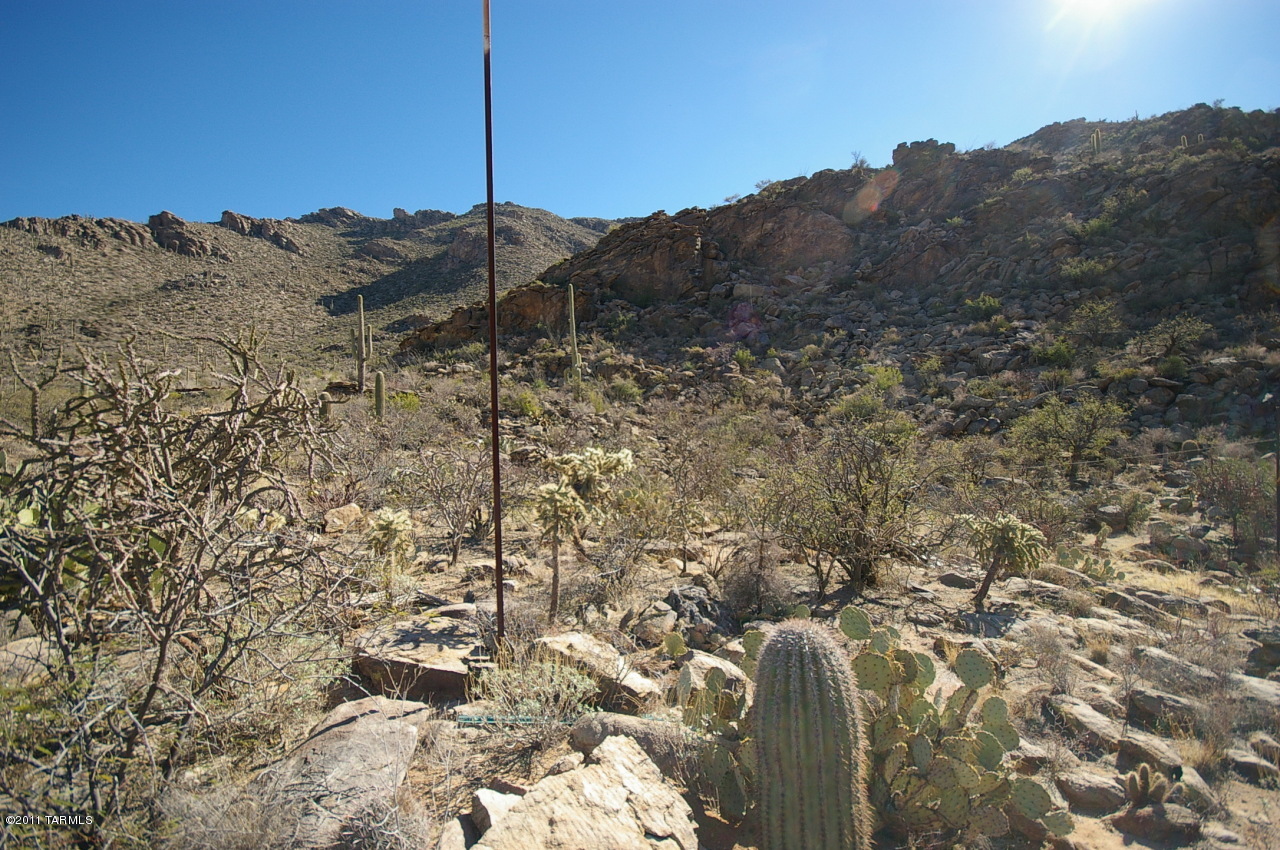Canyon Pass II At Dove Mountain (49-110) - Land