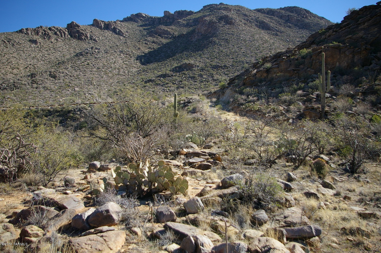 Canyon Pass II At Dove Mountain (49-110) - Land