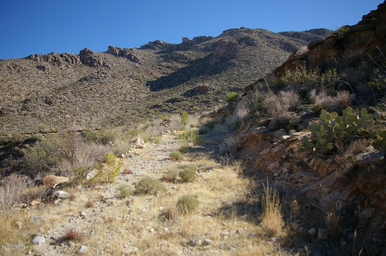Canyon Pass II At Dove Mountain (49-110) - Land